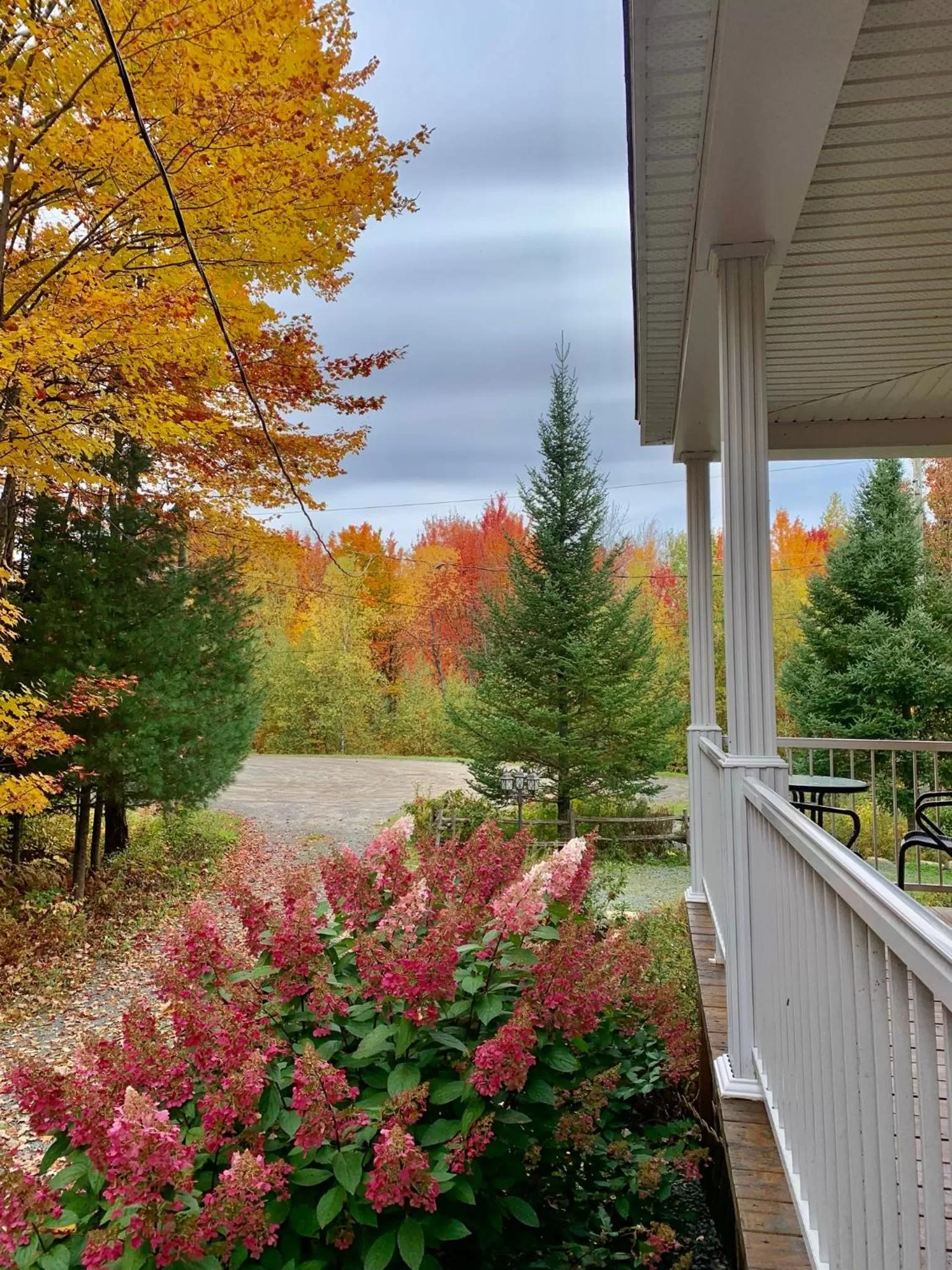Balcony/Terrace in Au Gré Du Temps - Gîte B&B