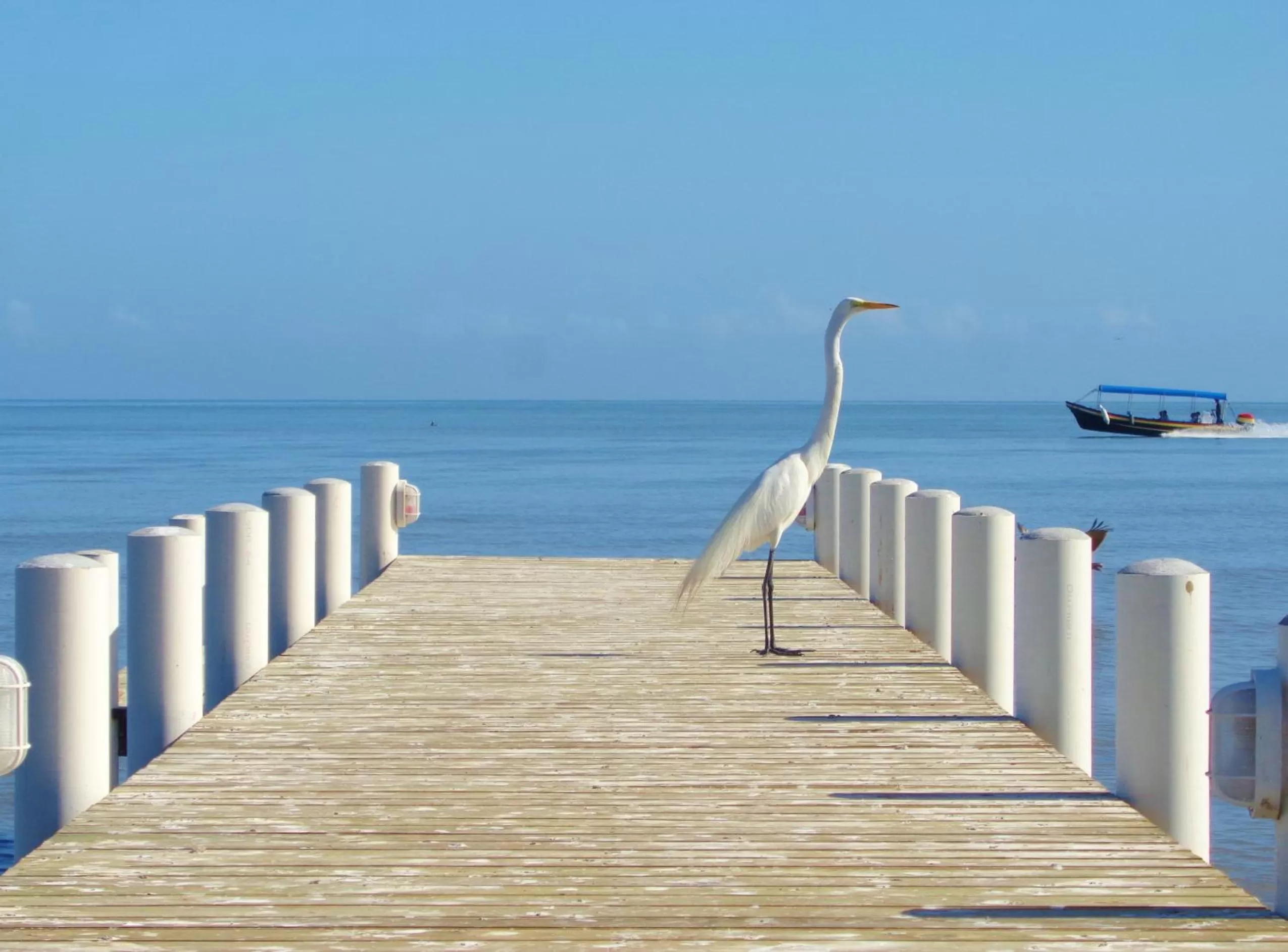 Neighbourhood in Livingston Resort Hotel