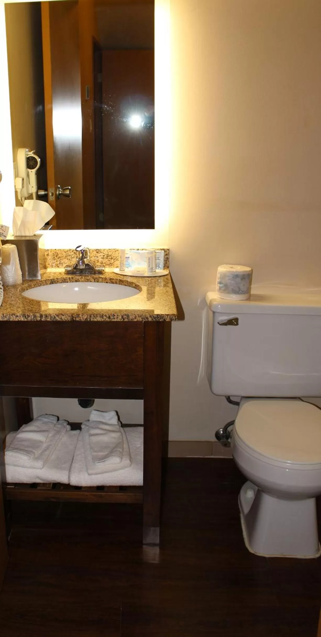 Bathroom in Ramada by Wyndham Campbell River