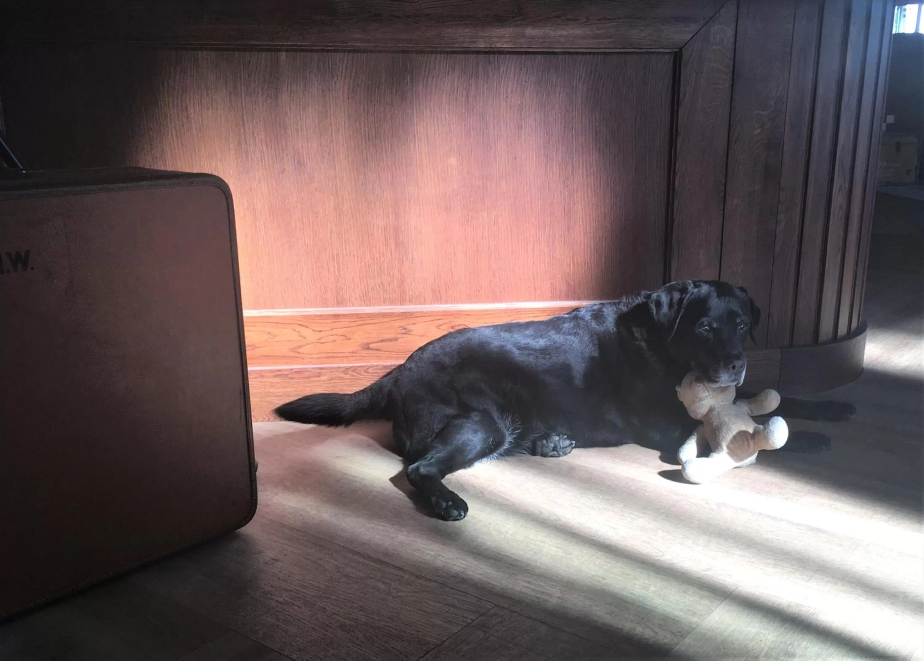 Lounge or bar in Hotel In't Holt 1654 Grand Café & Logement