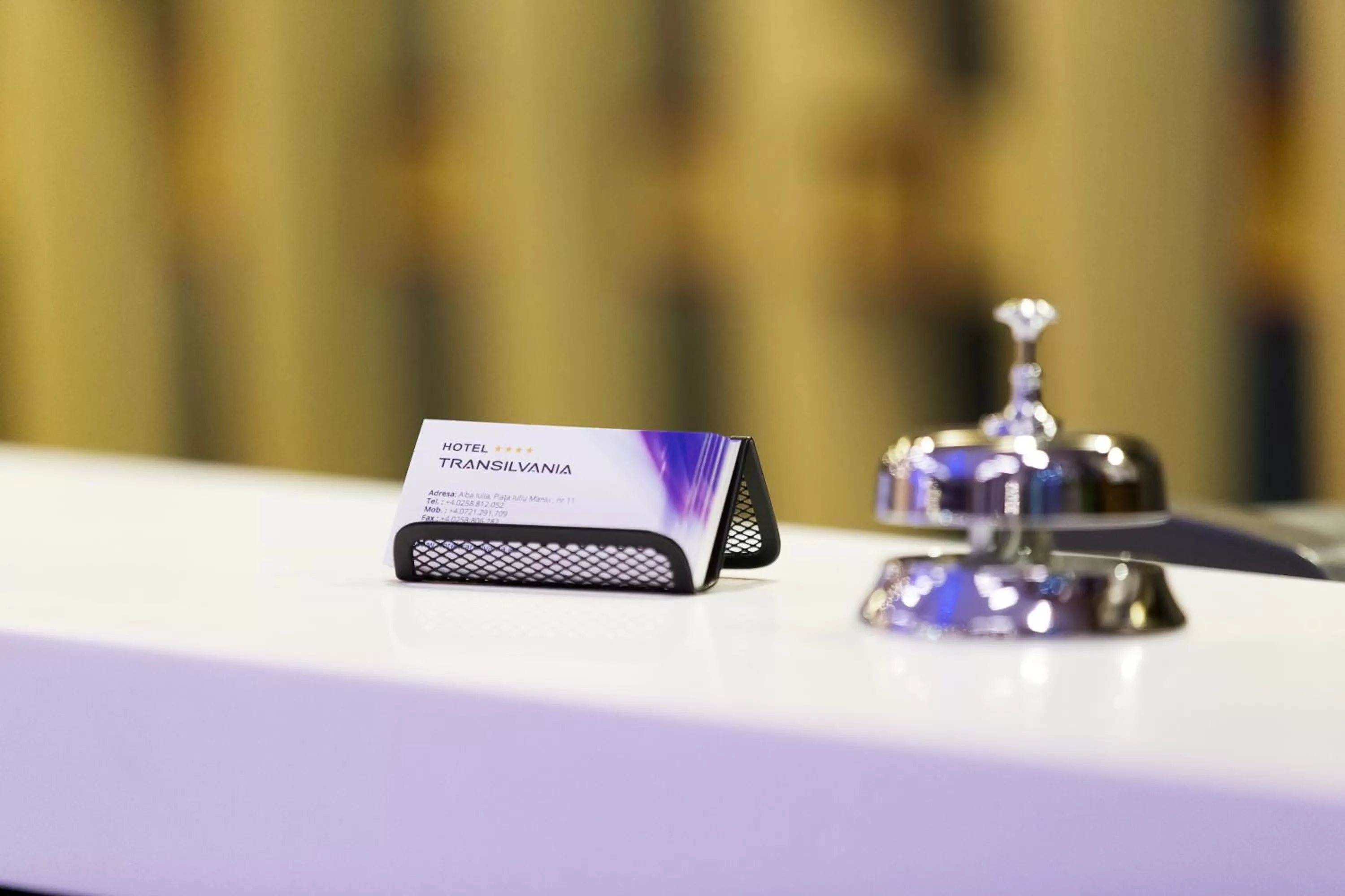 Lobby or reception in Hotel Transilvania