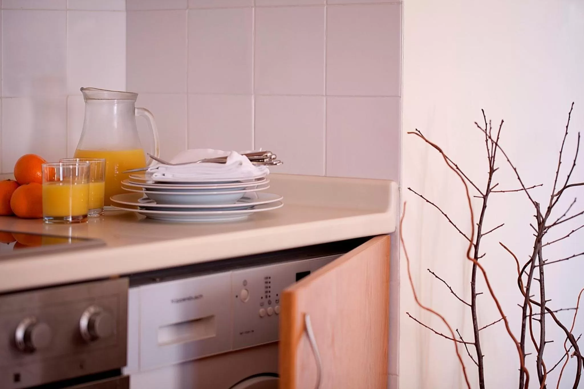 Kitchen or kitchenette in MS Aparthotel