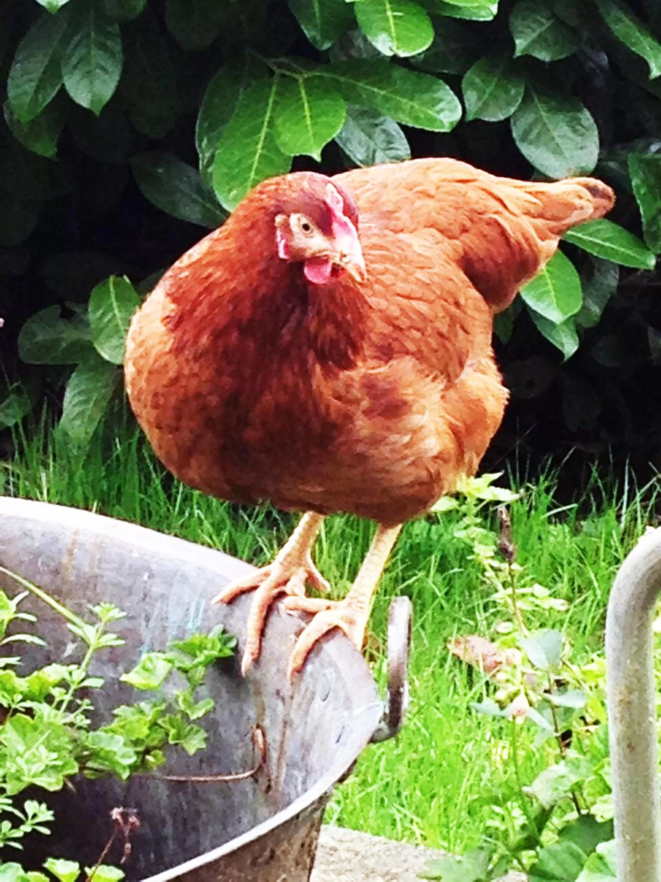 Other in La Romance et la Romanesque