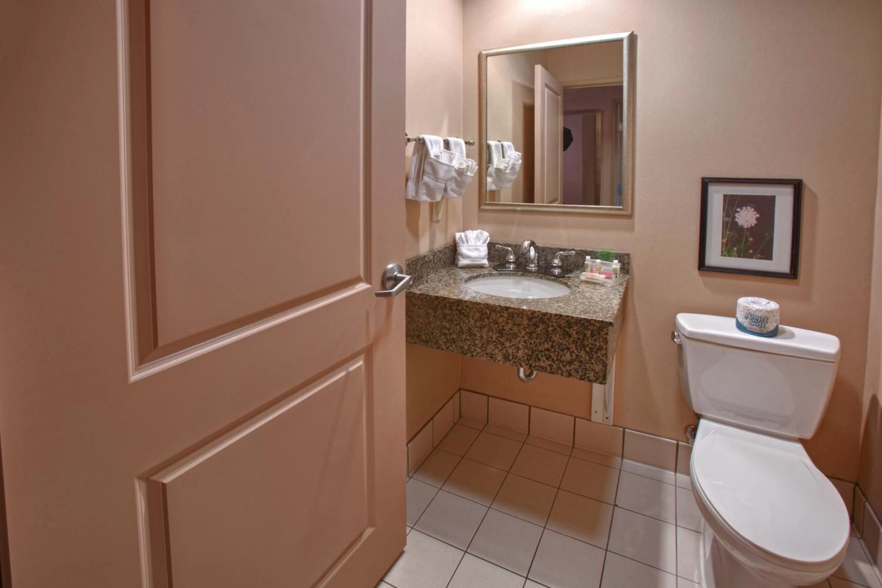 Bathroom in Holiday Inn St. Paul Northeast - Lake Elmo by IHG