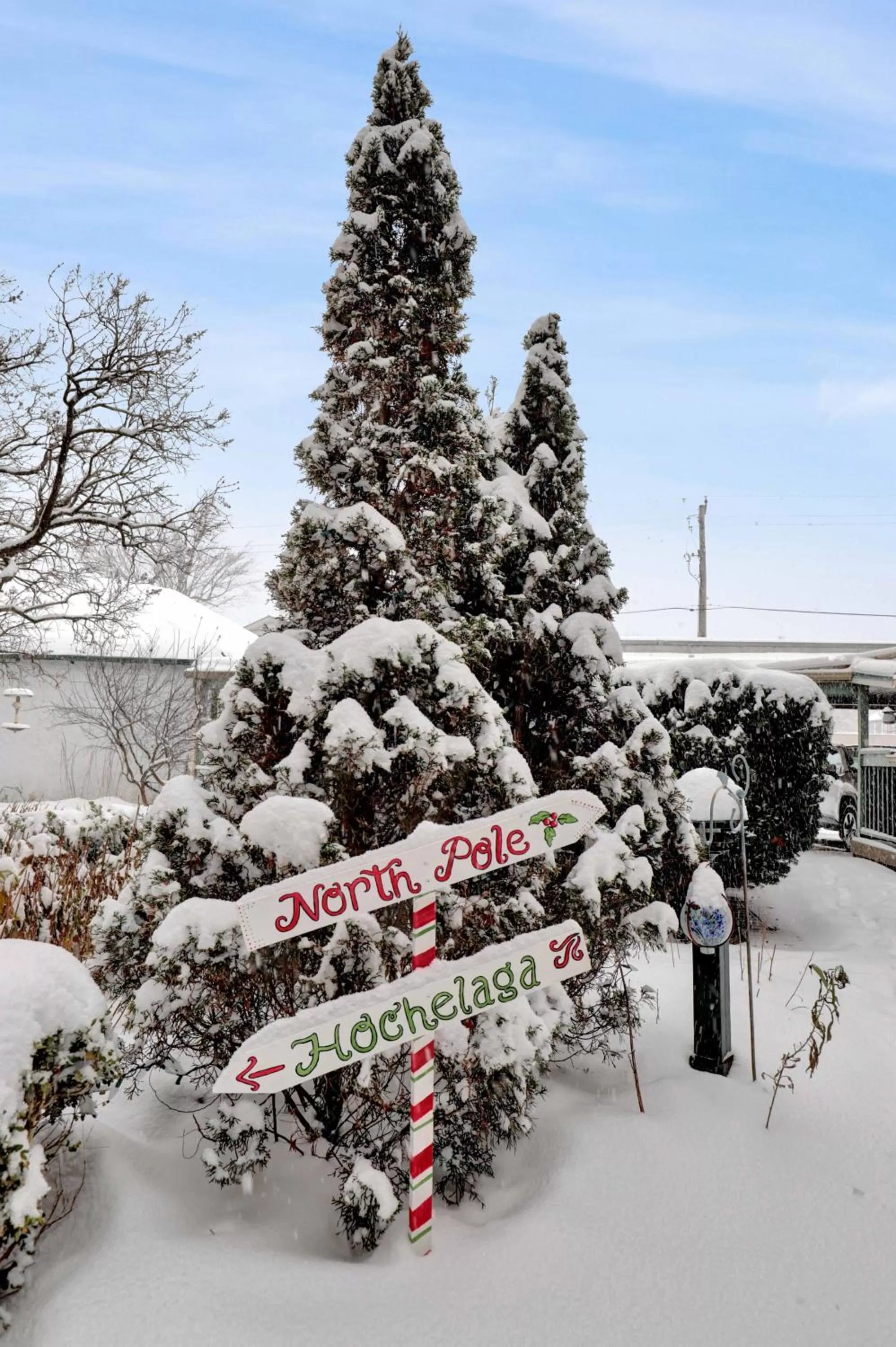 Garden in Hochelaga Inn