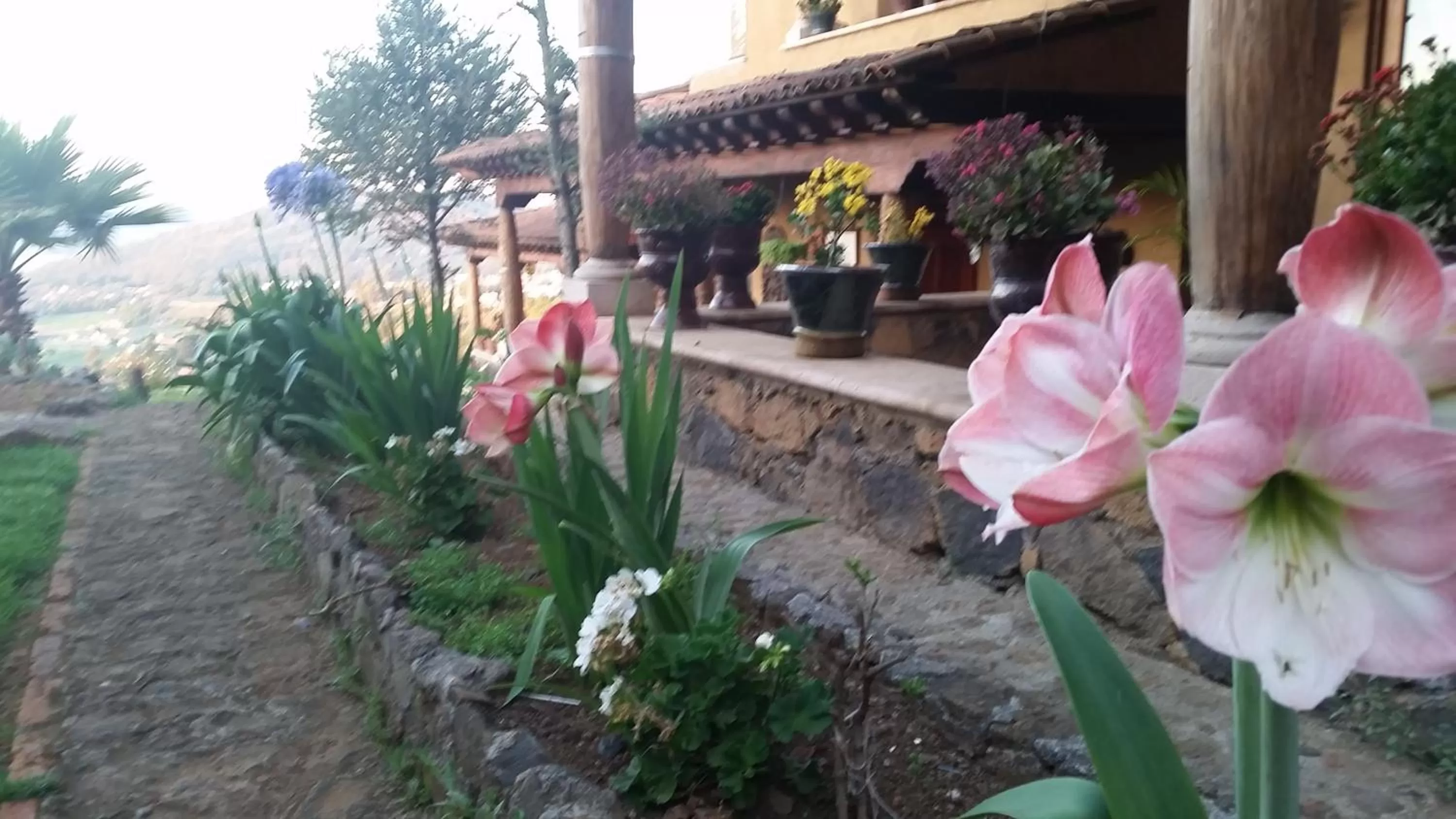 Spring in Eco Hotel Ixhi