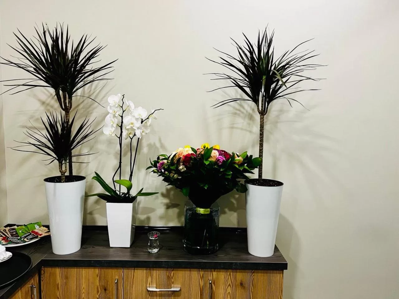 Property building in Bristol Hotel Tashkent