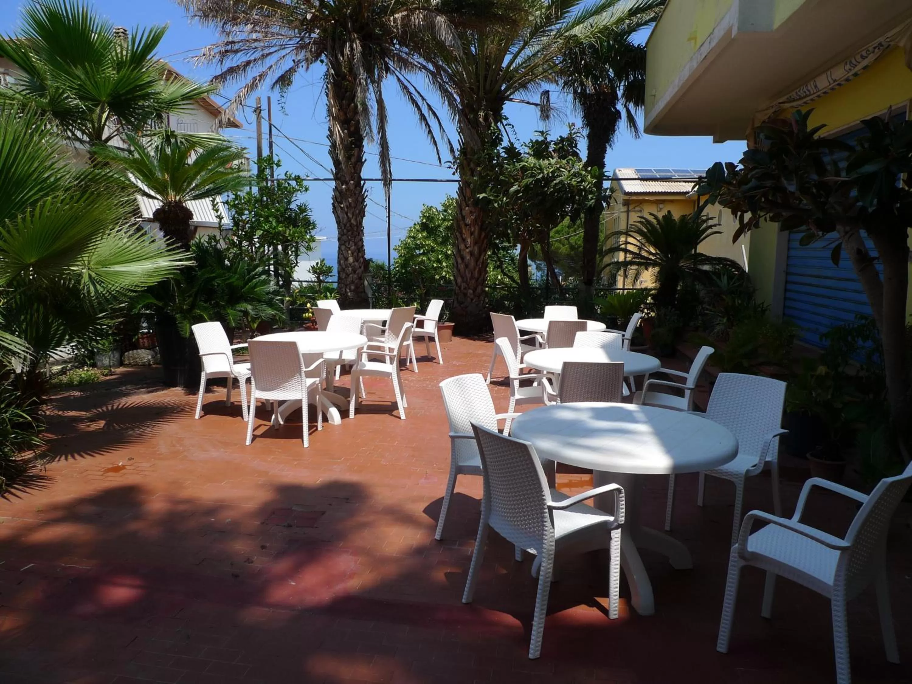 Garden in Hotel Alexander