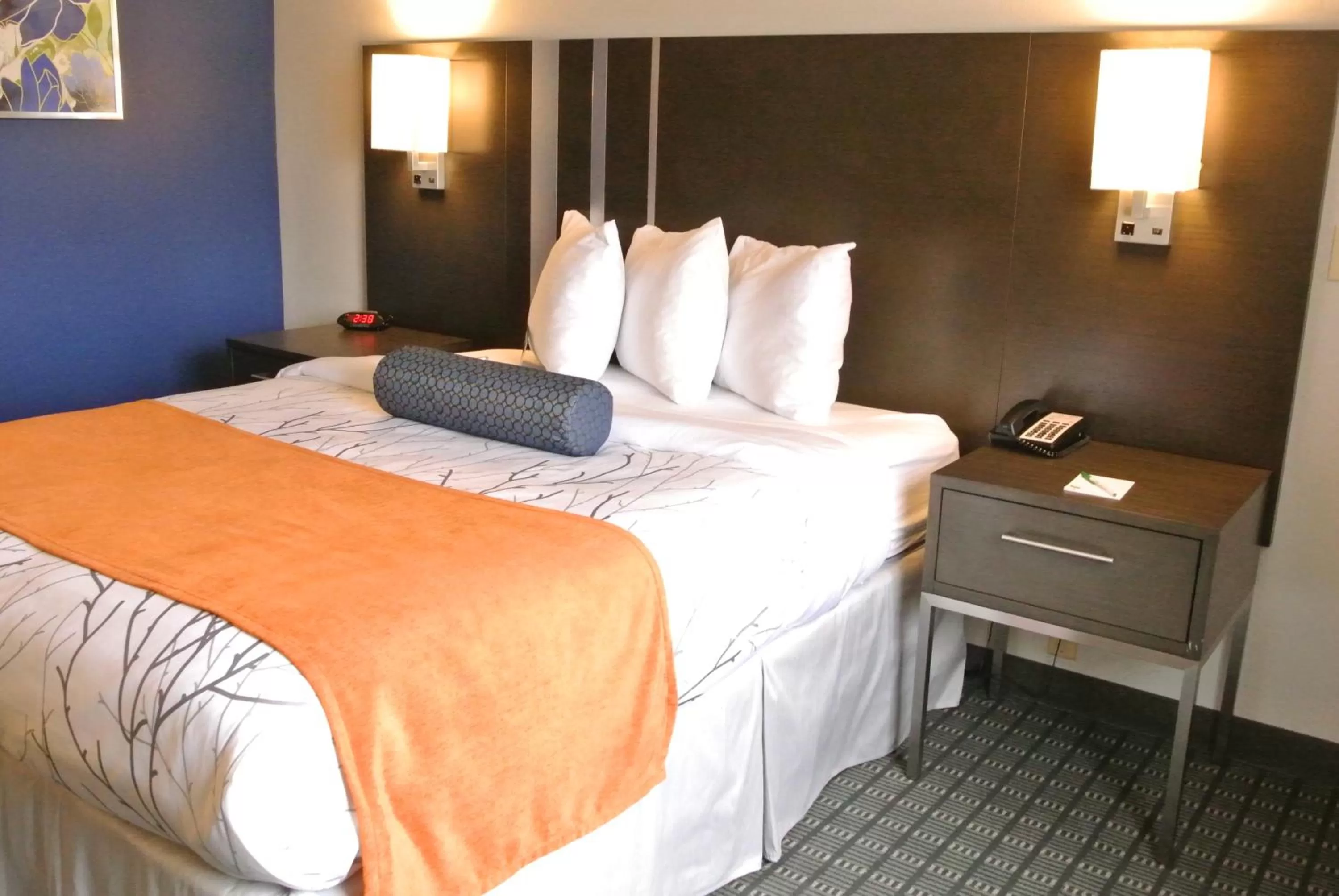 Bed in Guesthouse Inn & Suites Lexington