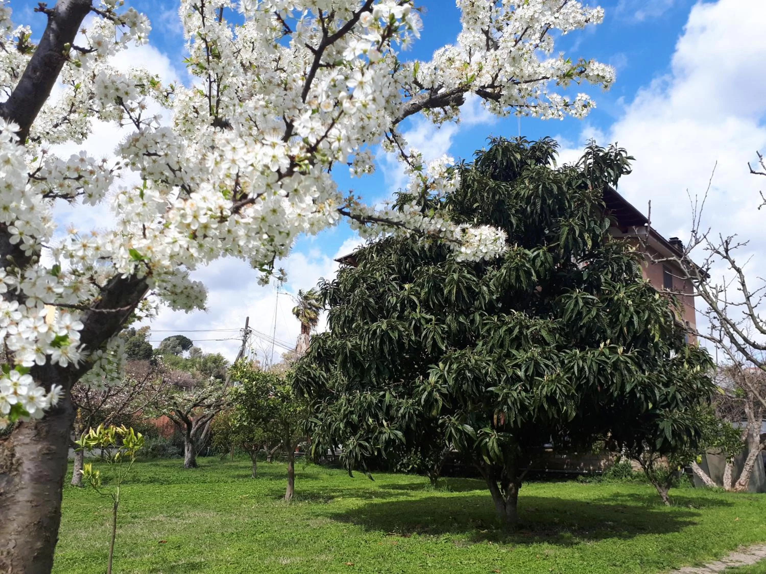 Garden in B&B Il Giardino di Gabri