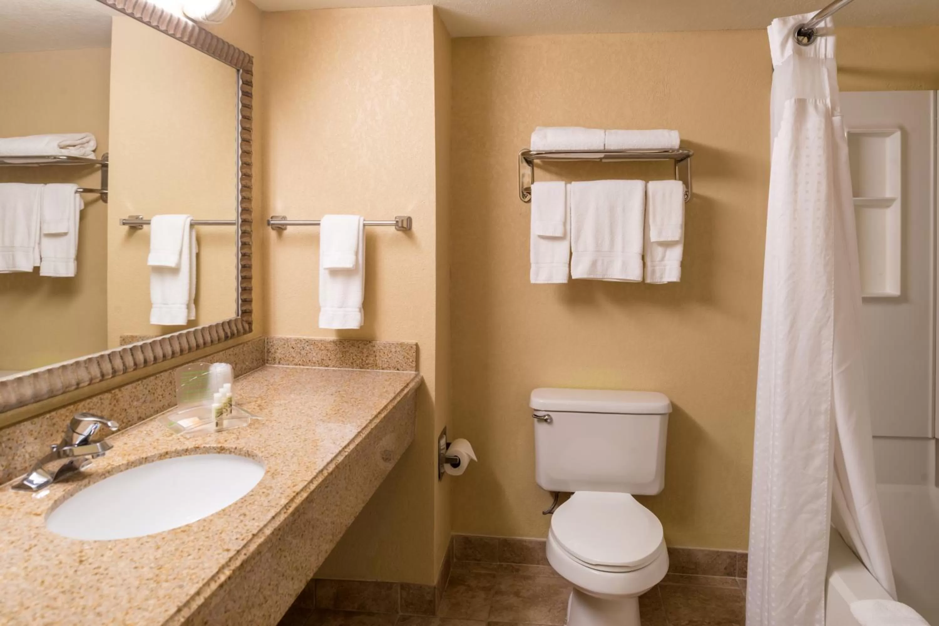 Bathroom in Holiday Inn & Suites Orlando SW - Celebration Area by IHG