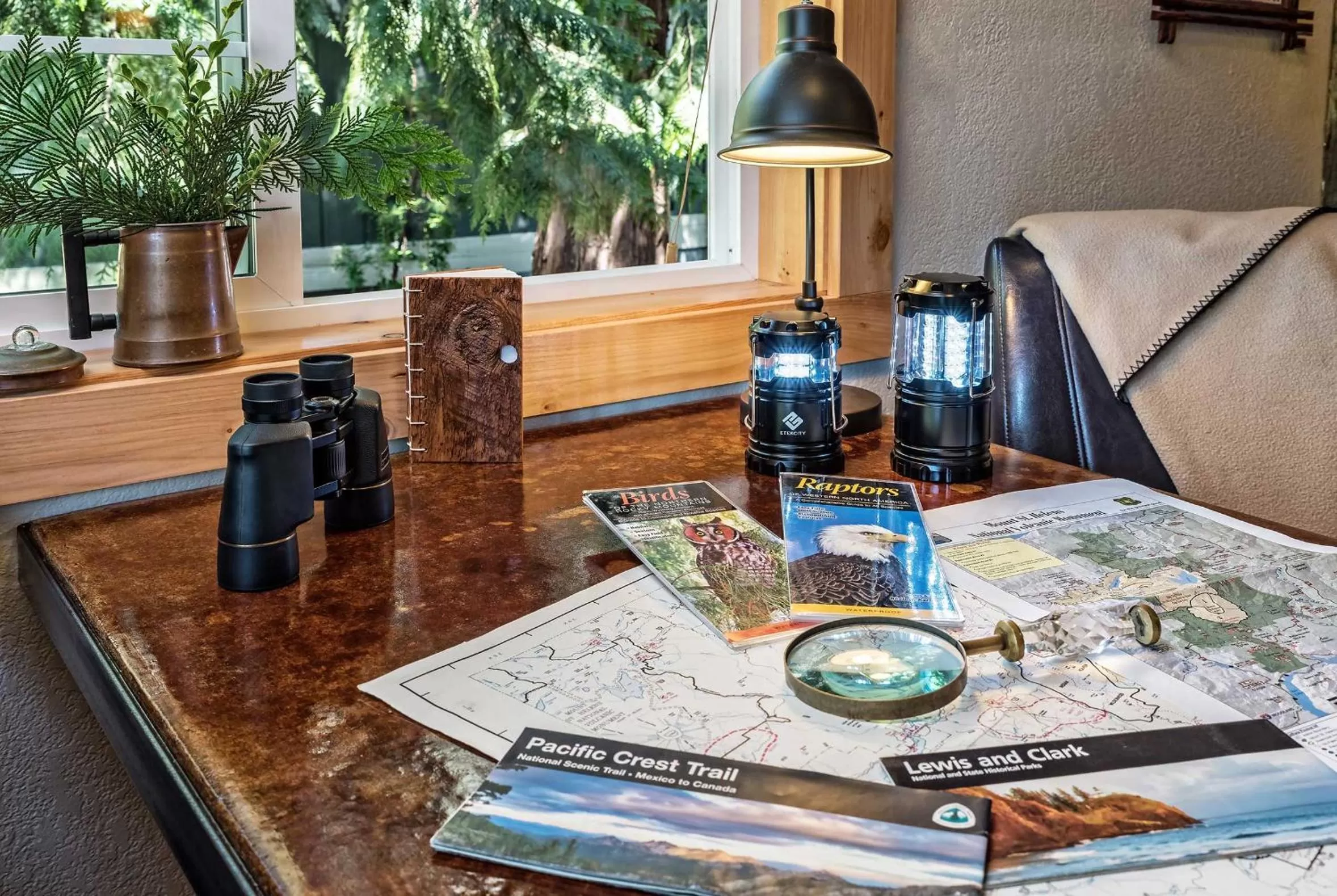 Carson Ridge Luxury Cabins