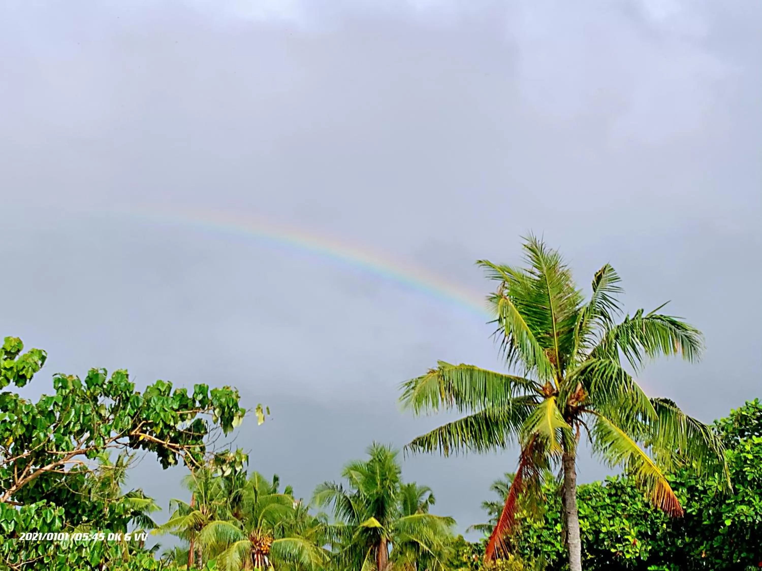 Sea view in Sugarsea Inn & Dive shop