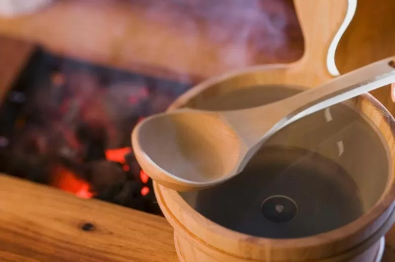 Sauna in Elegans Hotel Brdo