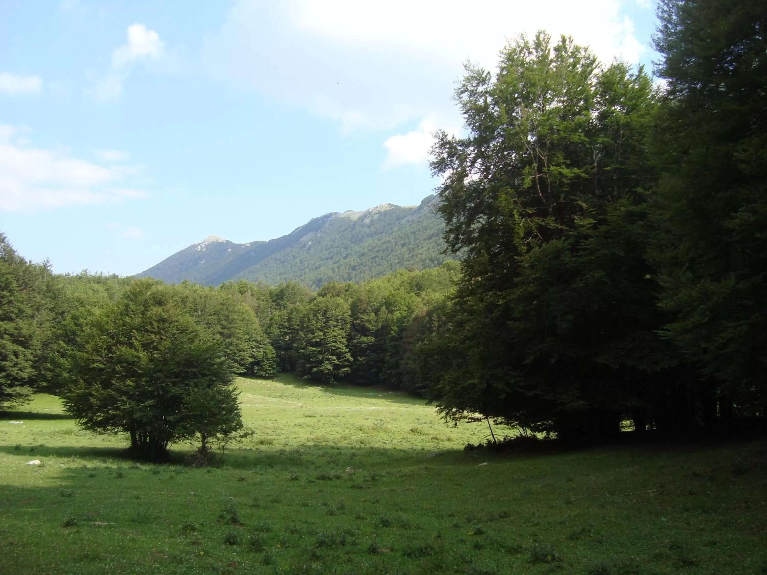 Natural landscape in B&B Esperança