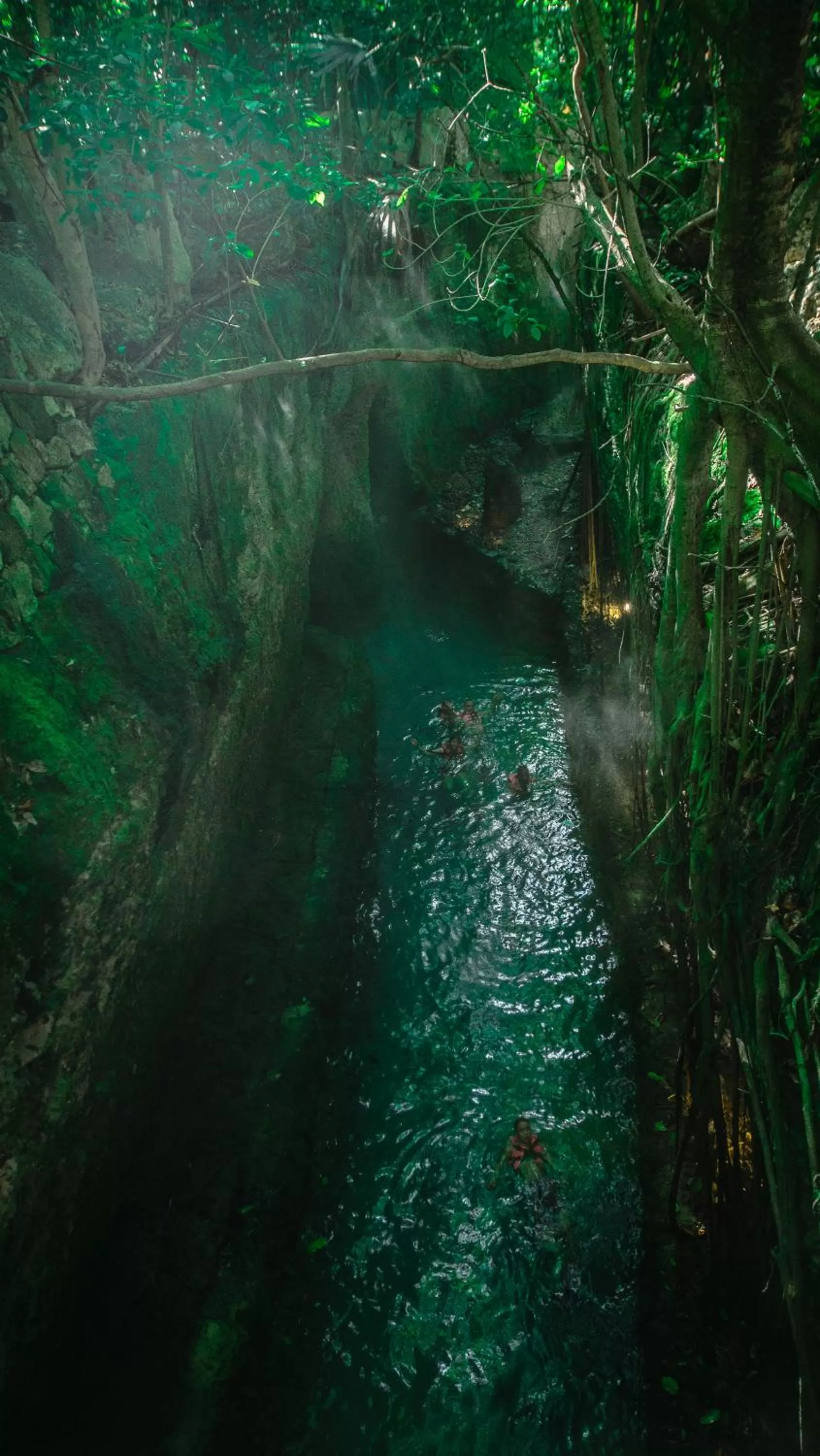 Natural landscape in Hotel Xcaret Mexico All Parks All Fun Inclusive