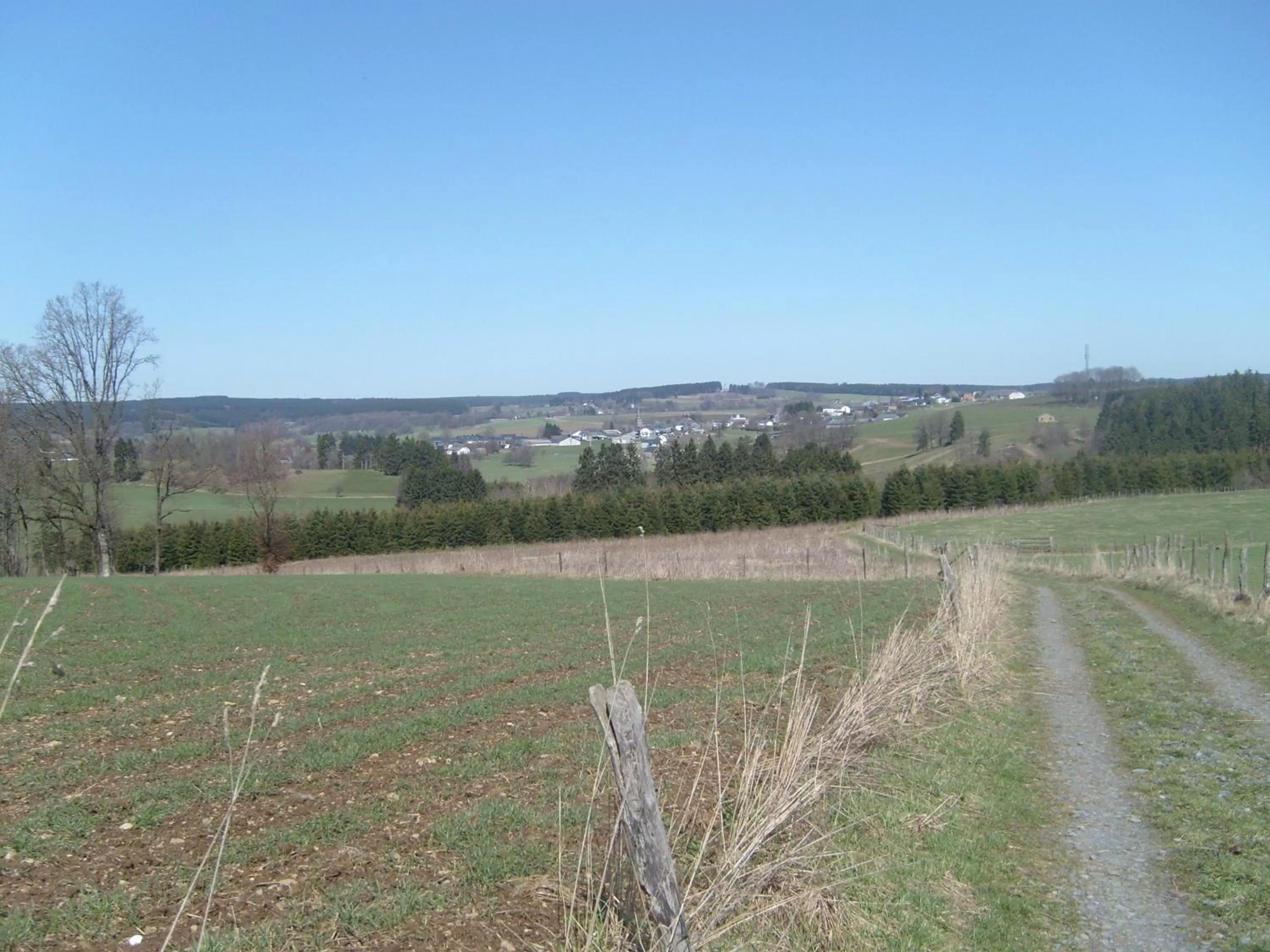Natural landscape in B&B Willow Springs Way Station