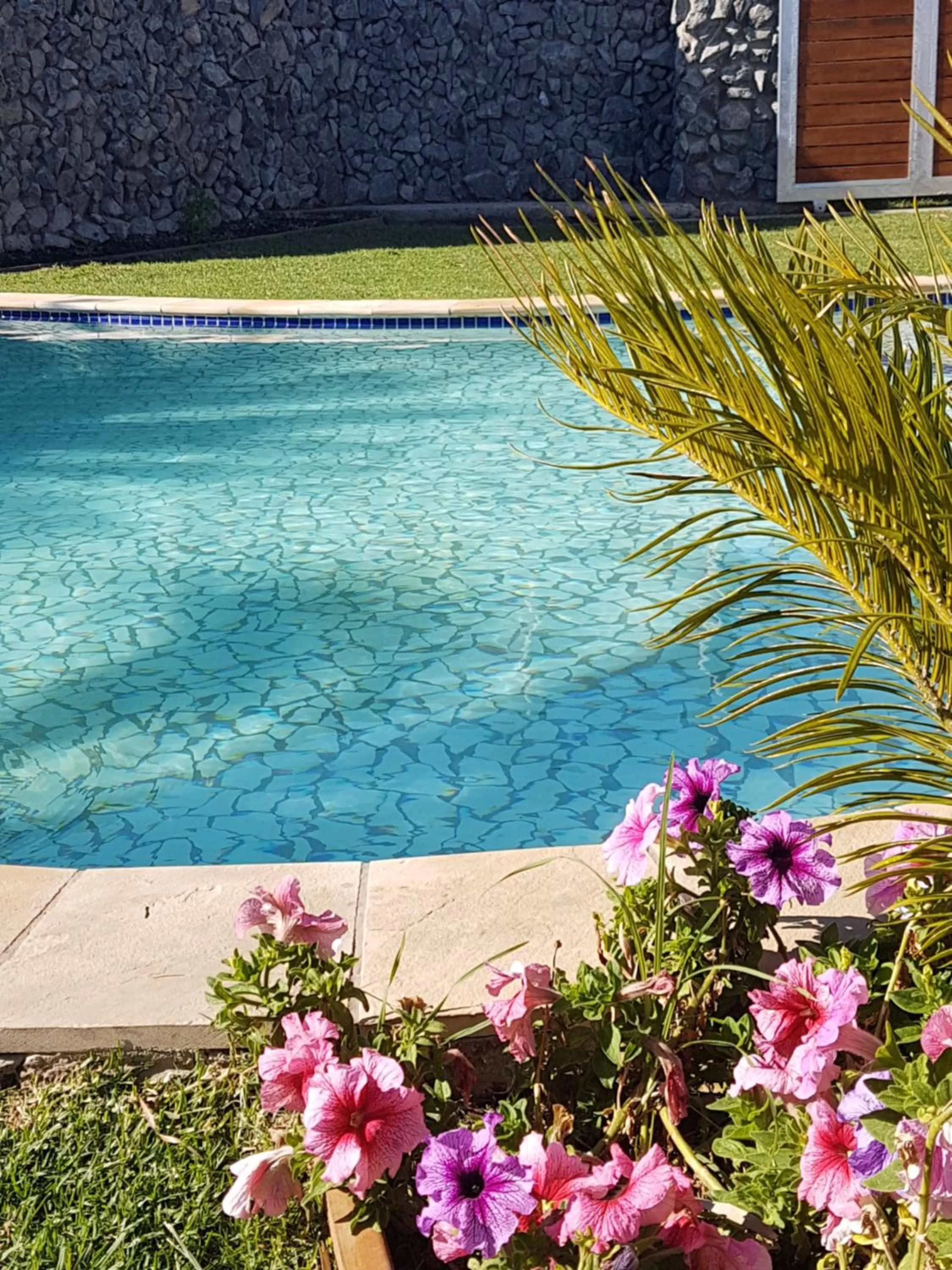 Swimming pool in Riverview Guesthouse East London