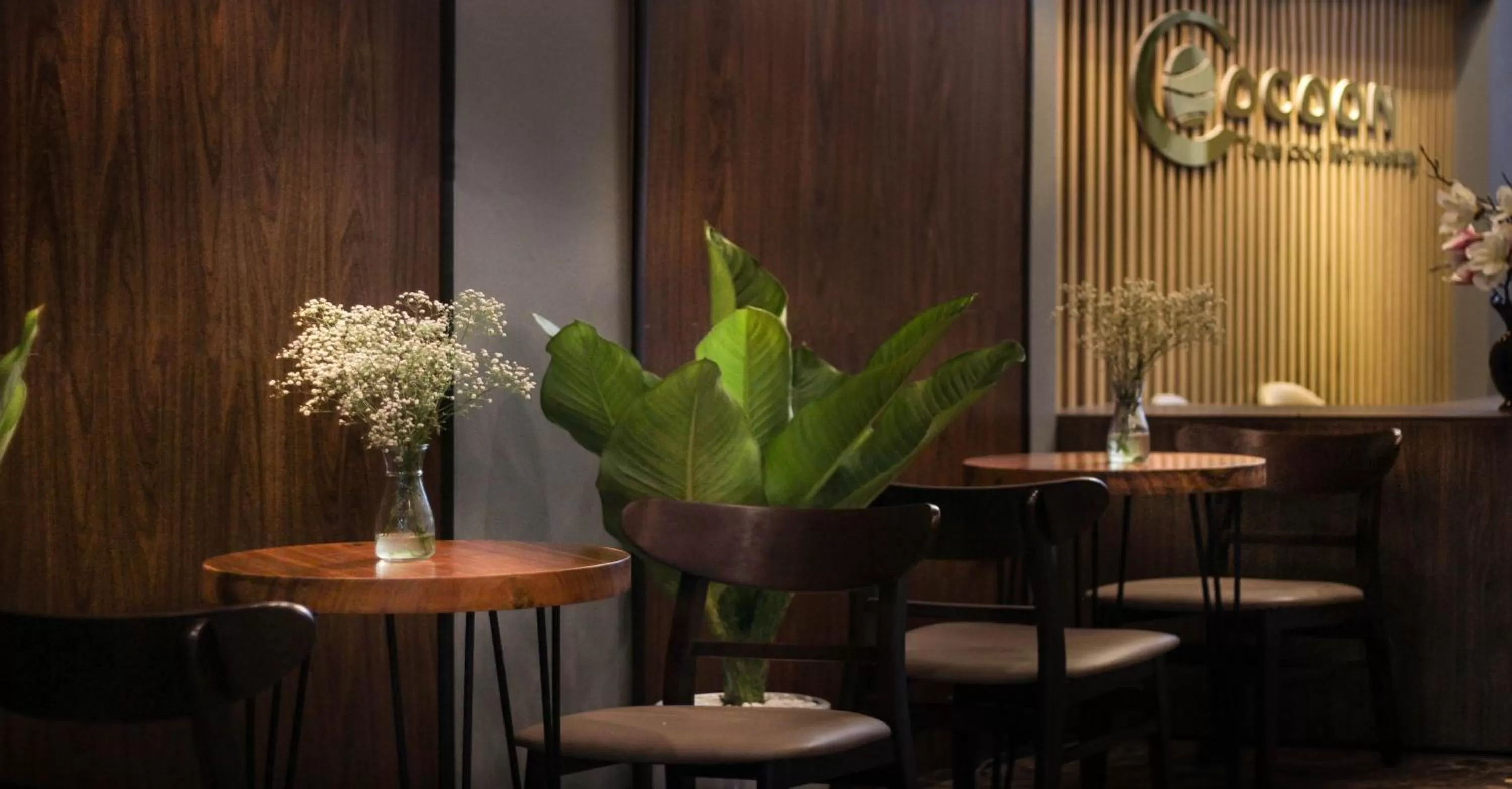 Living room in ᴛᴀᴍ ᴄᴏᴄ ᴄᴏᴄᴏᴏɴ ʜᴏᴍᴇsᴛᴀʏ