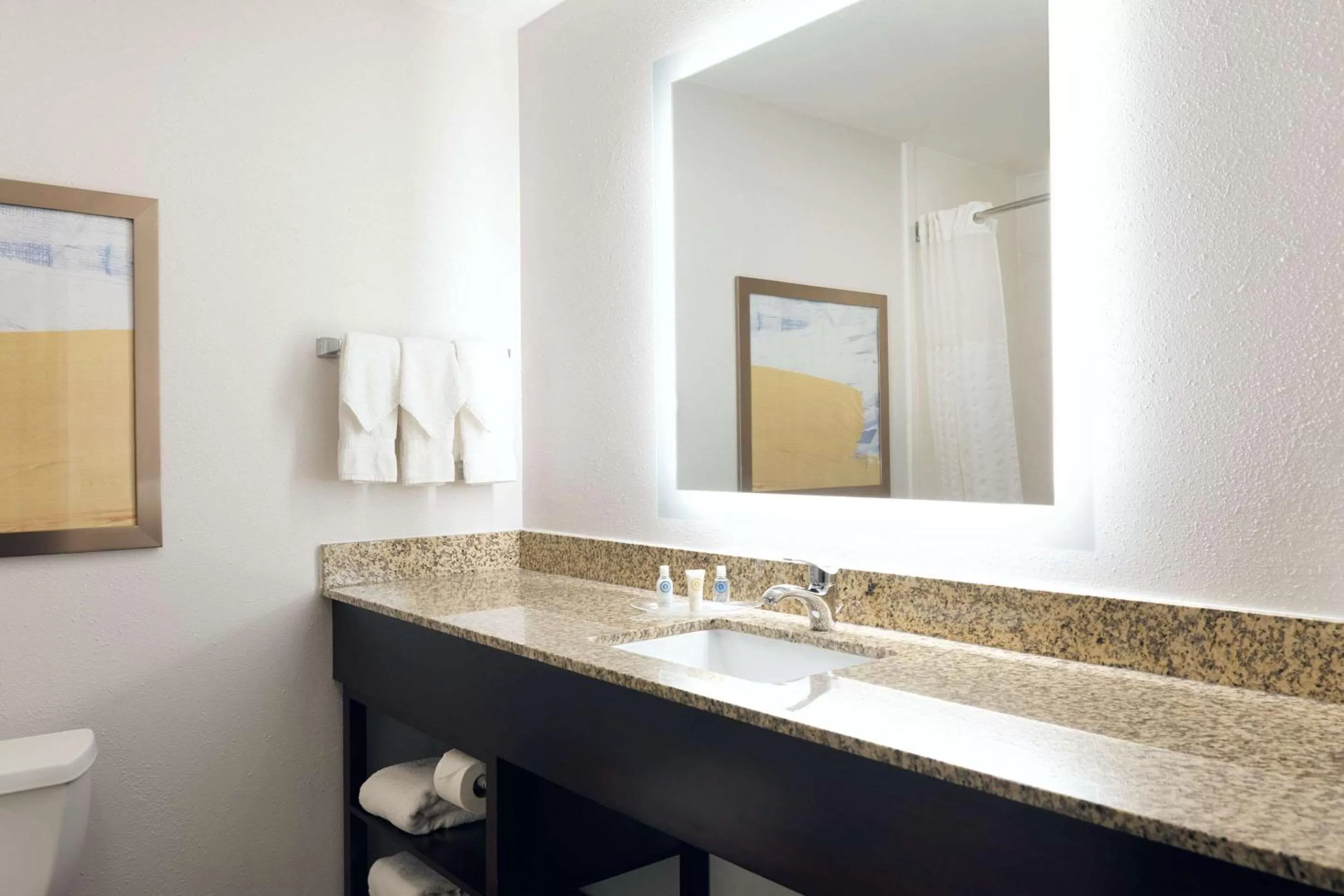 Bathroom in Comfort Suites Milwaukee Airport