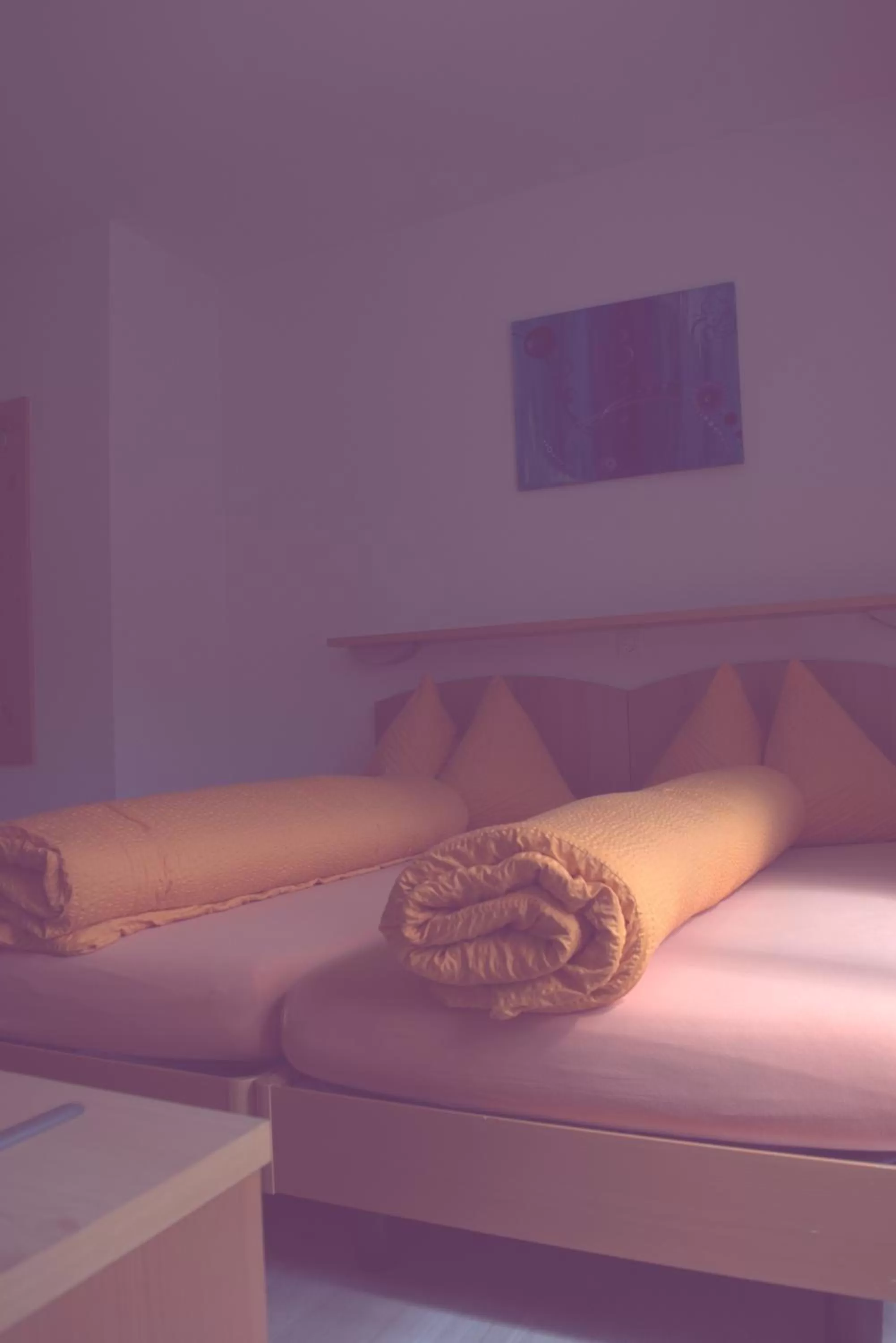 Bed in Ristorante Pensione Chalet Stazione