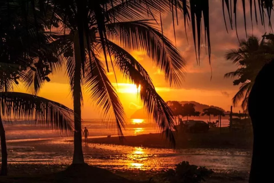 Beach Break Resort & CR Surf Camp