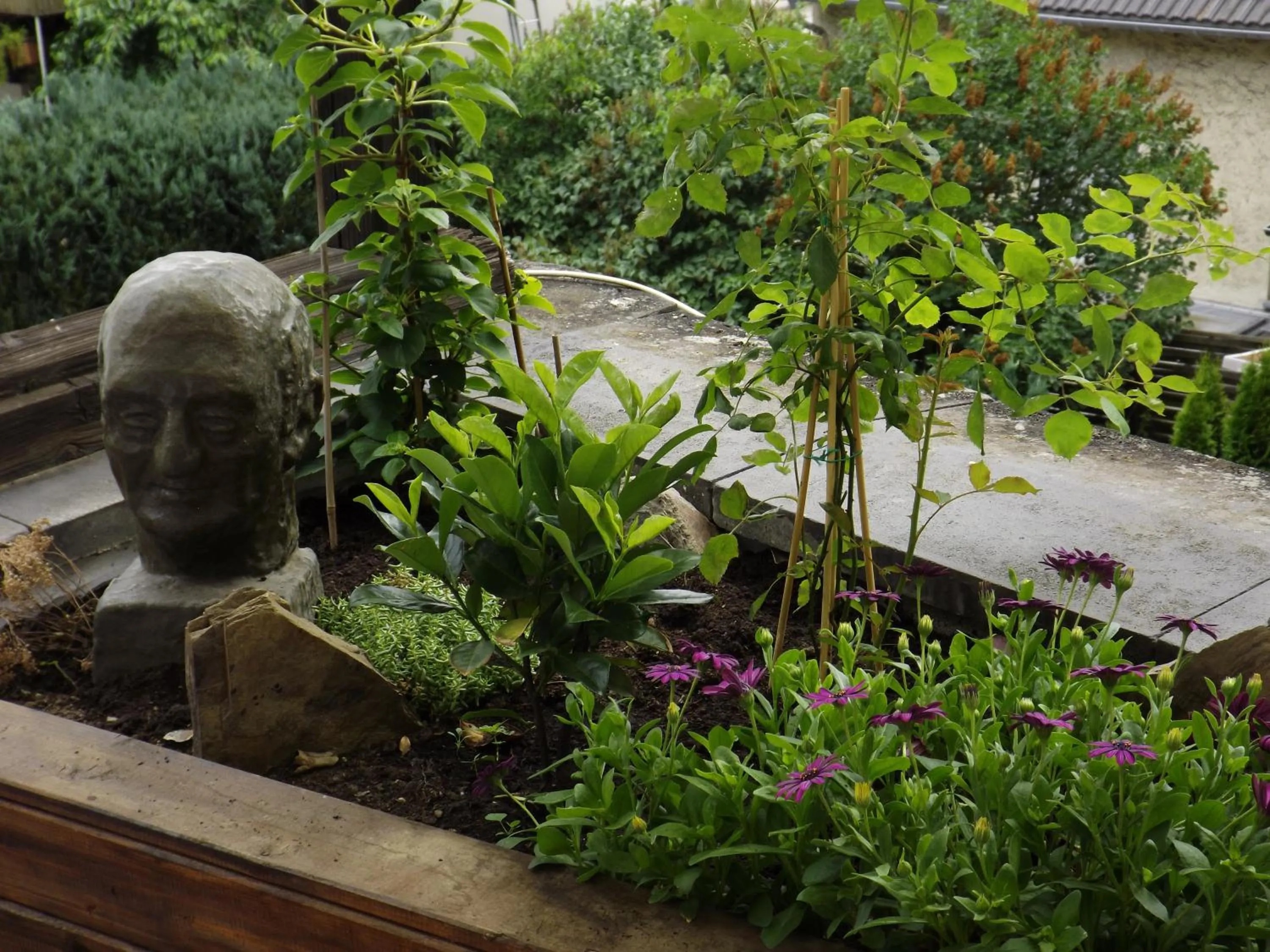 Balcony/Terrace in Zum Achten Himmel
