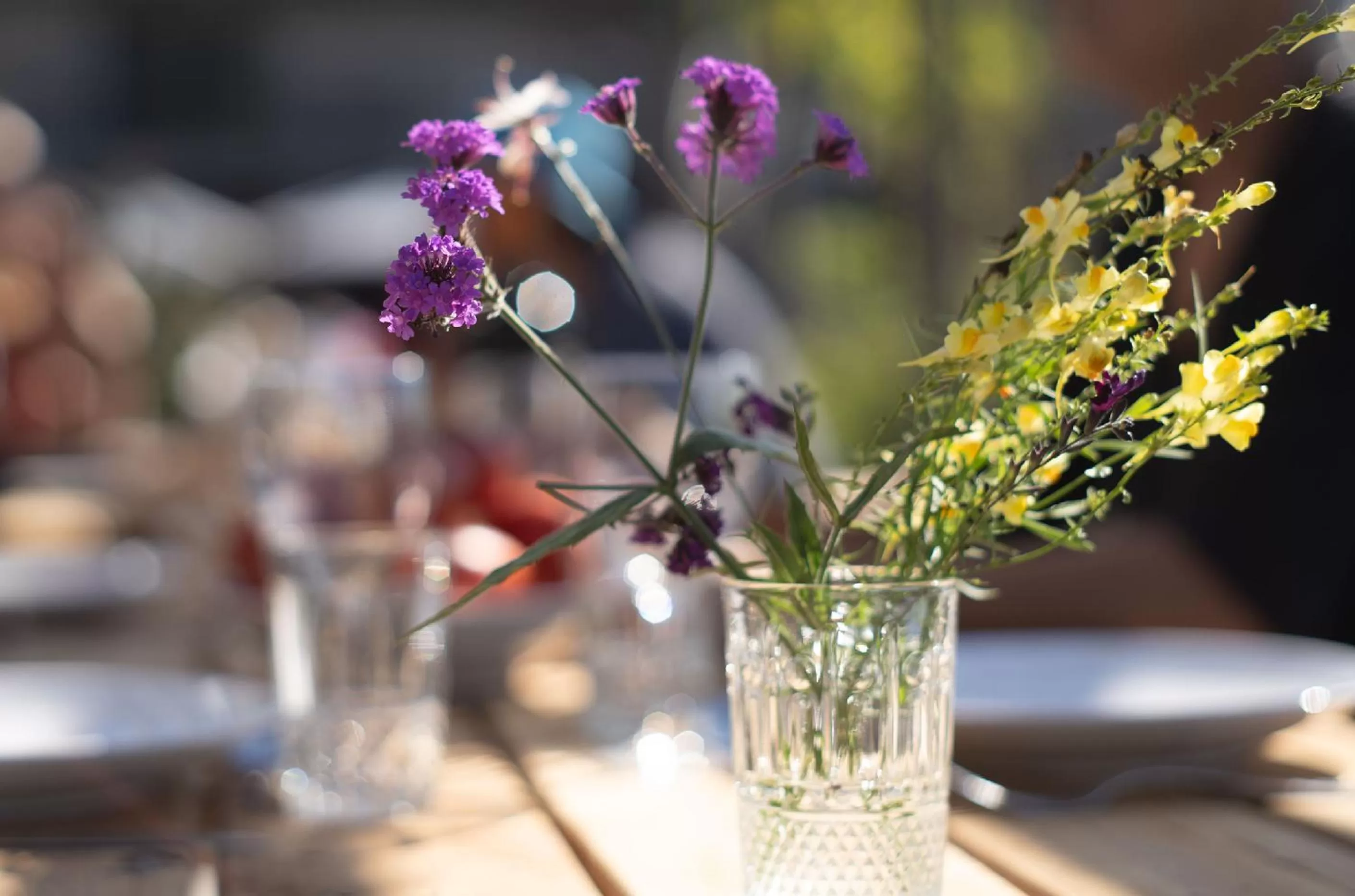 Property building in Le jardin des 4 saisons