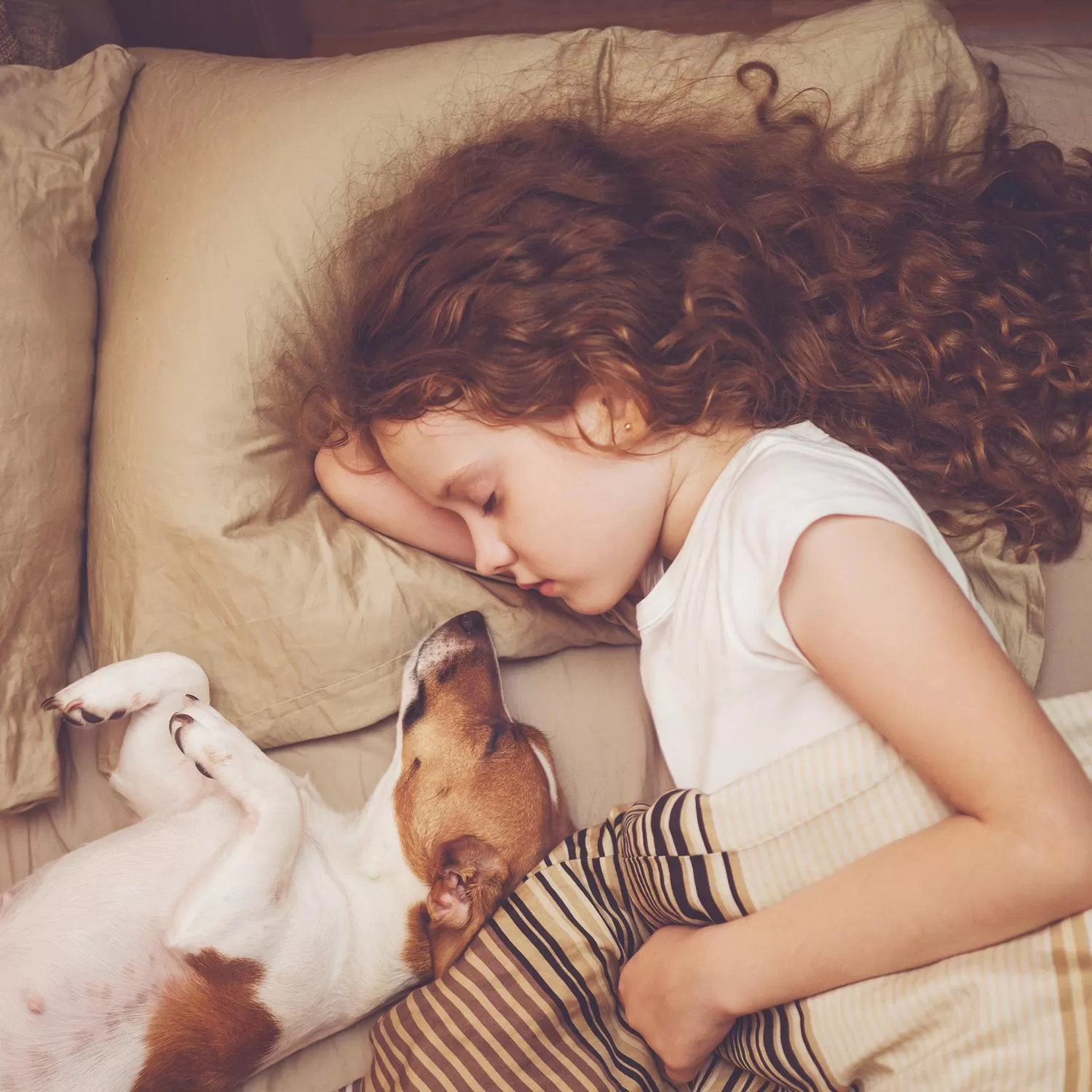 children in First Hotel Millennium