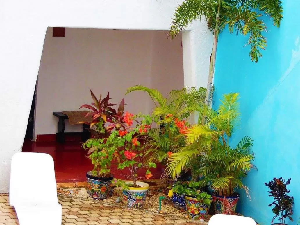 Garden, Property Building in Hotel Berny