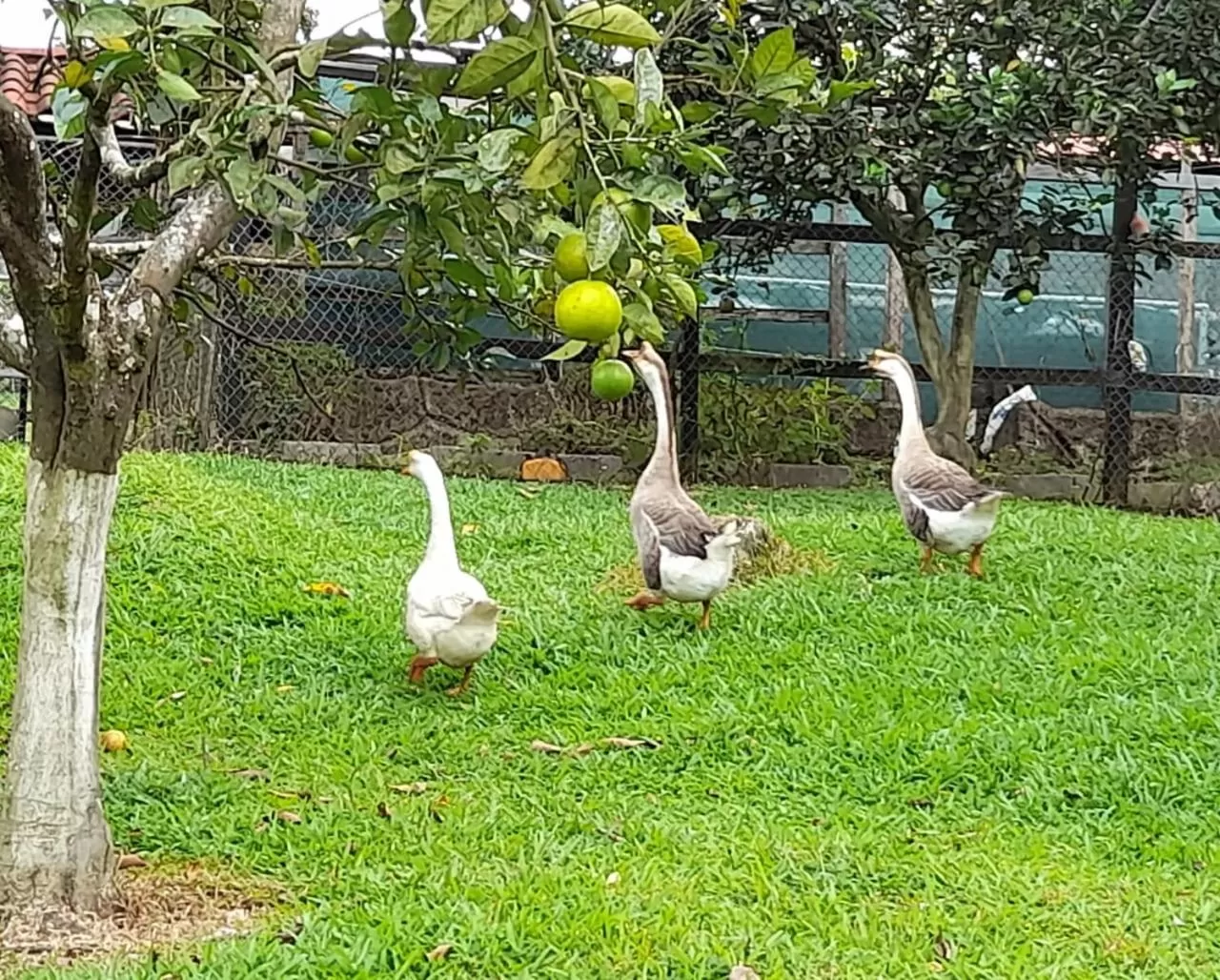 Hotel Hacienda Don Paolo
