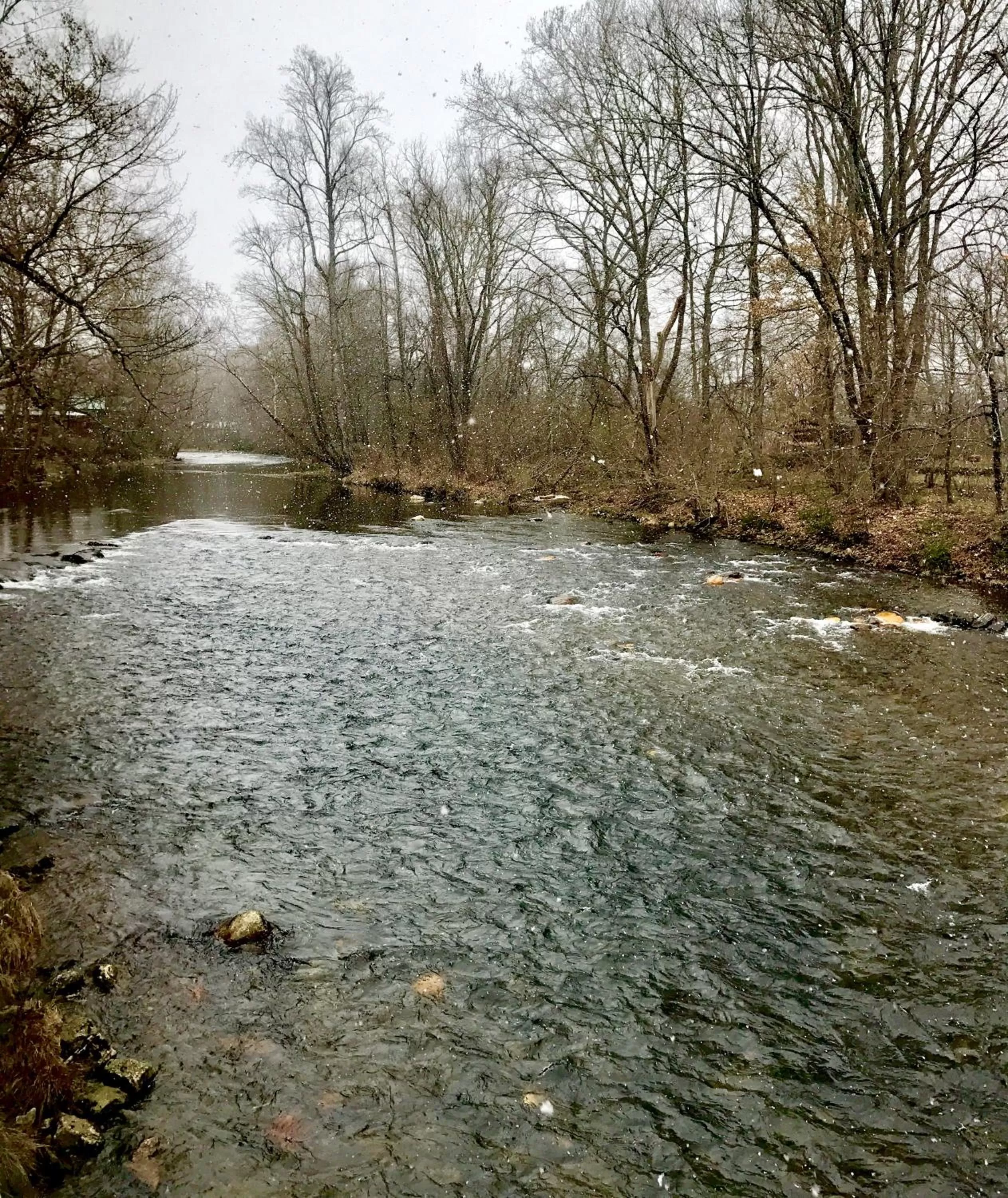 River view in Rivers Edge Motel