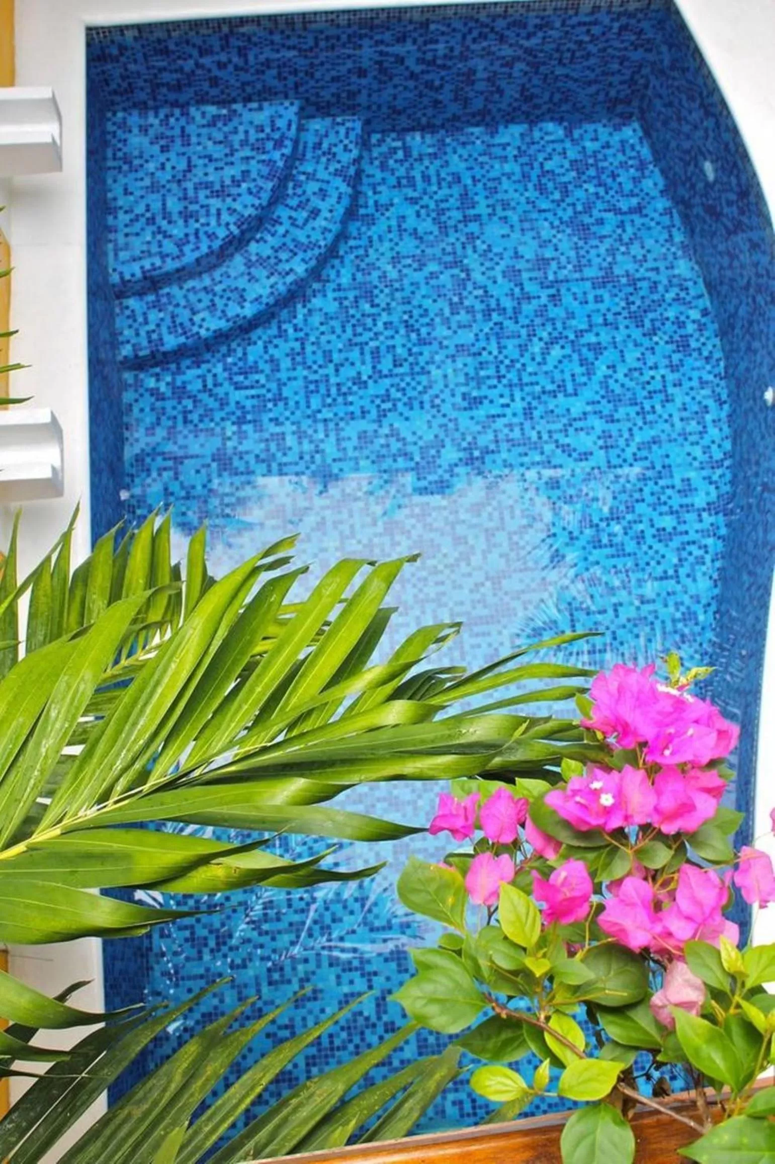 Swimming Pool in Hotel Casa Gloria Boutique