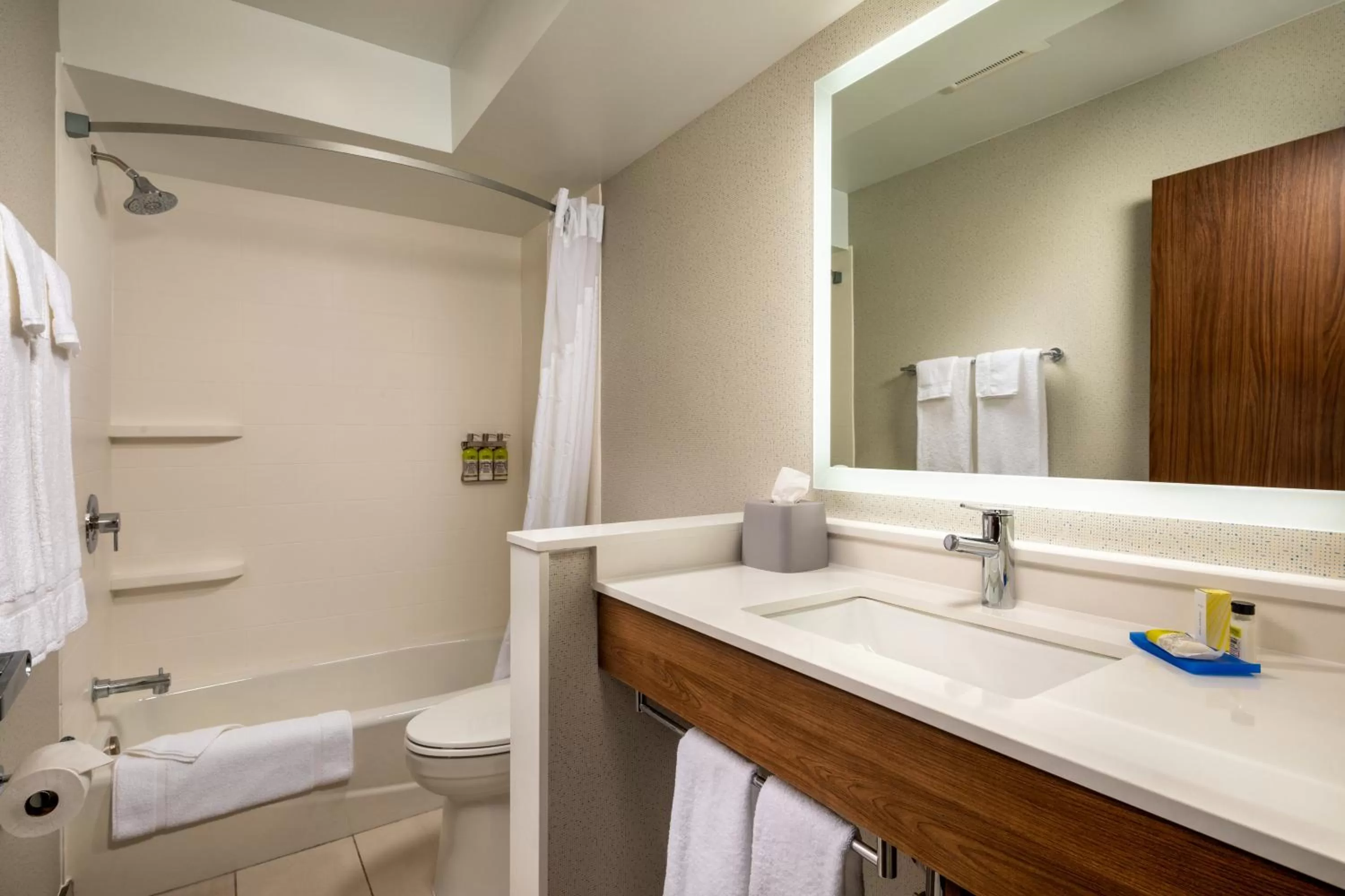 Shower in Holiday Inn Express & Suites Chatsworth by IHG