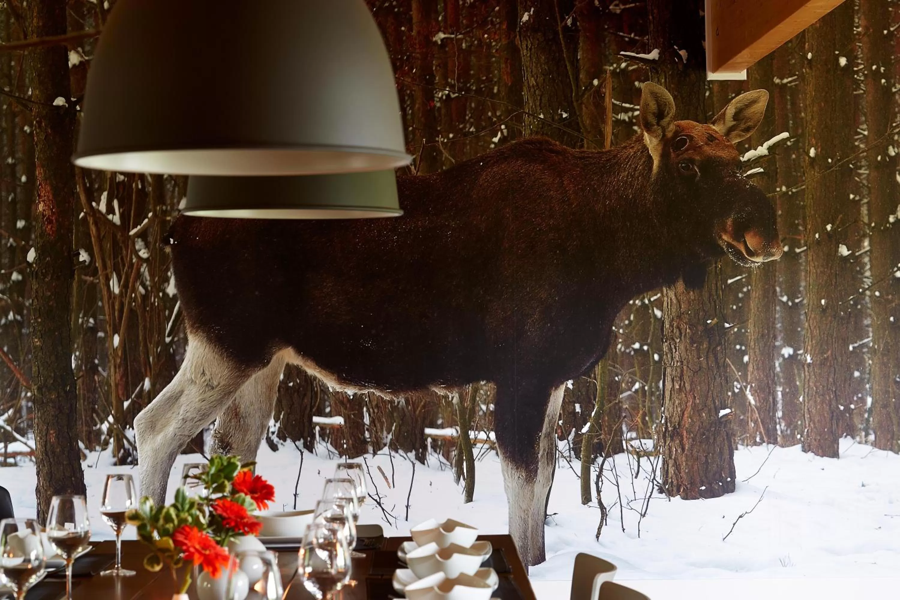 Kitchen or kitchenette in Auberge du Lac-à-l'Eau-Claire