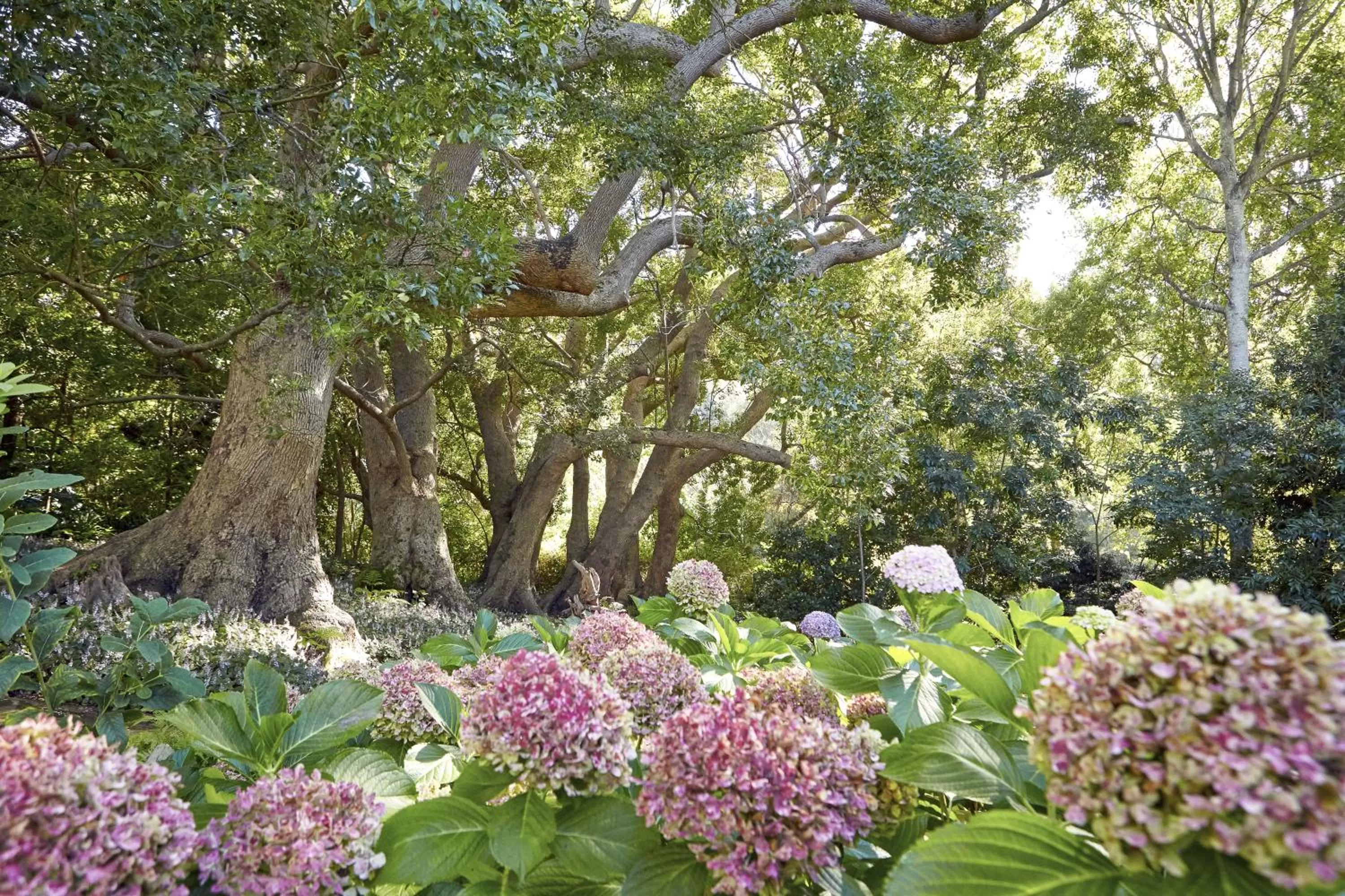 Day in The Cellars-Hohenort