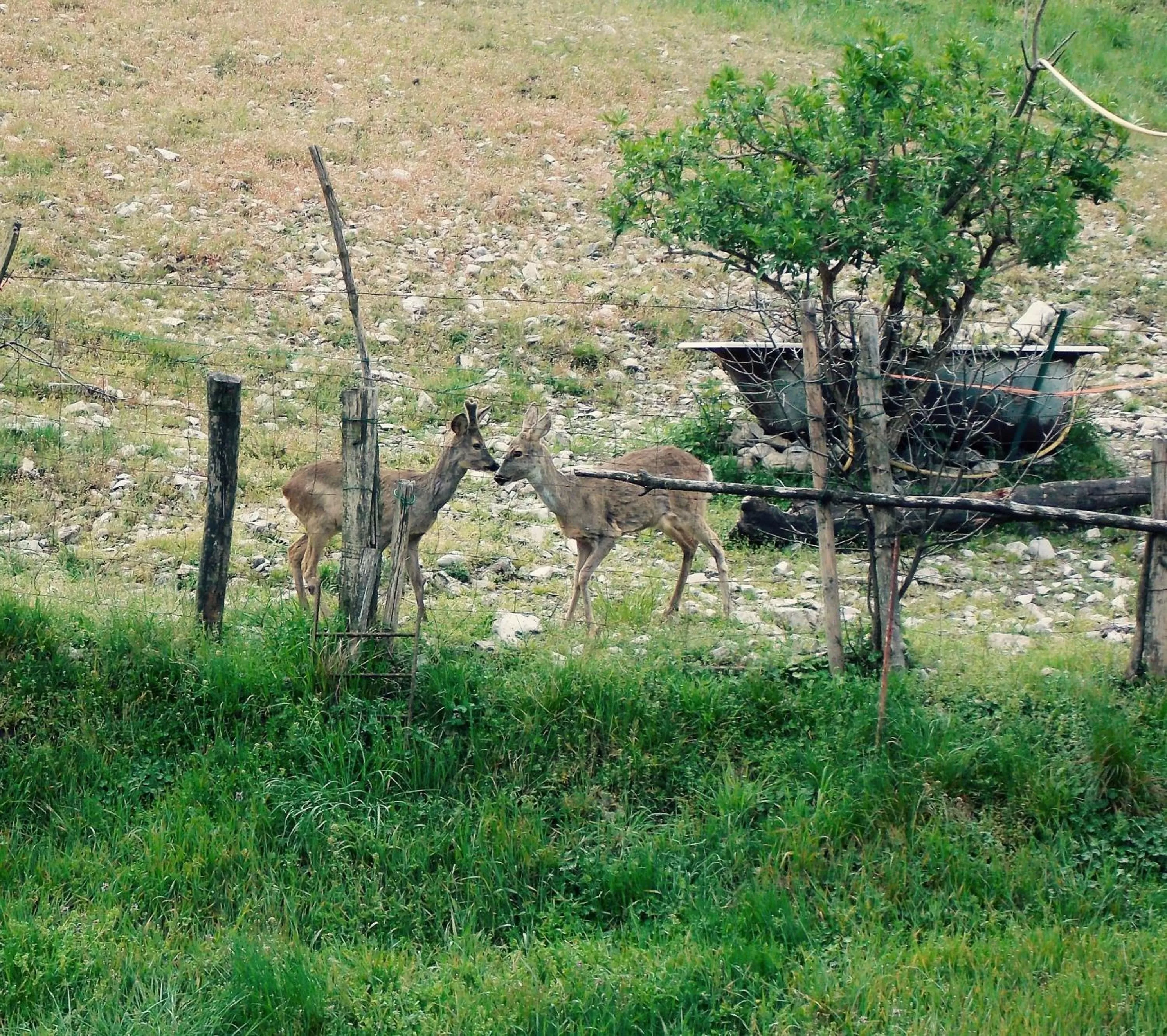 Day in B&B La Corte del Segrino