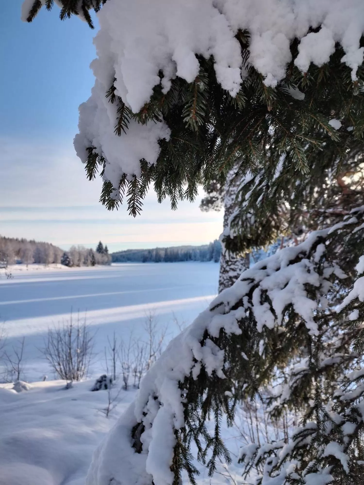 Winter in Värdshuset Lugnet