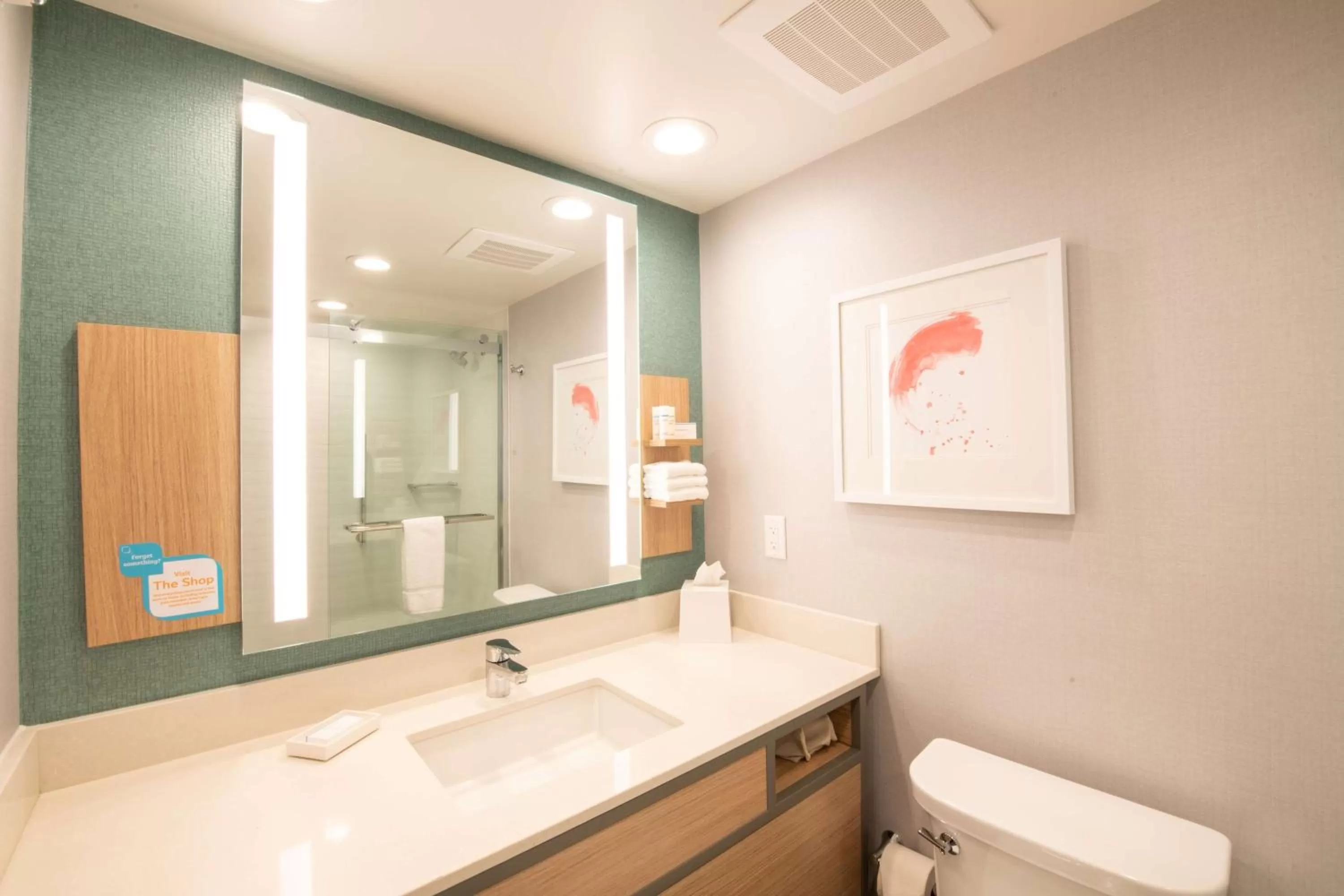 Bathroom in Hilton Garden Inn Asheville South