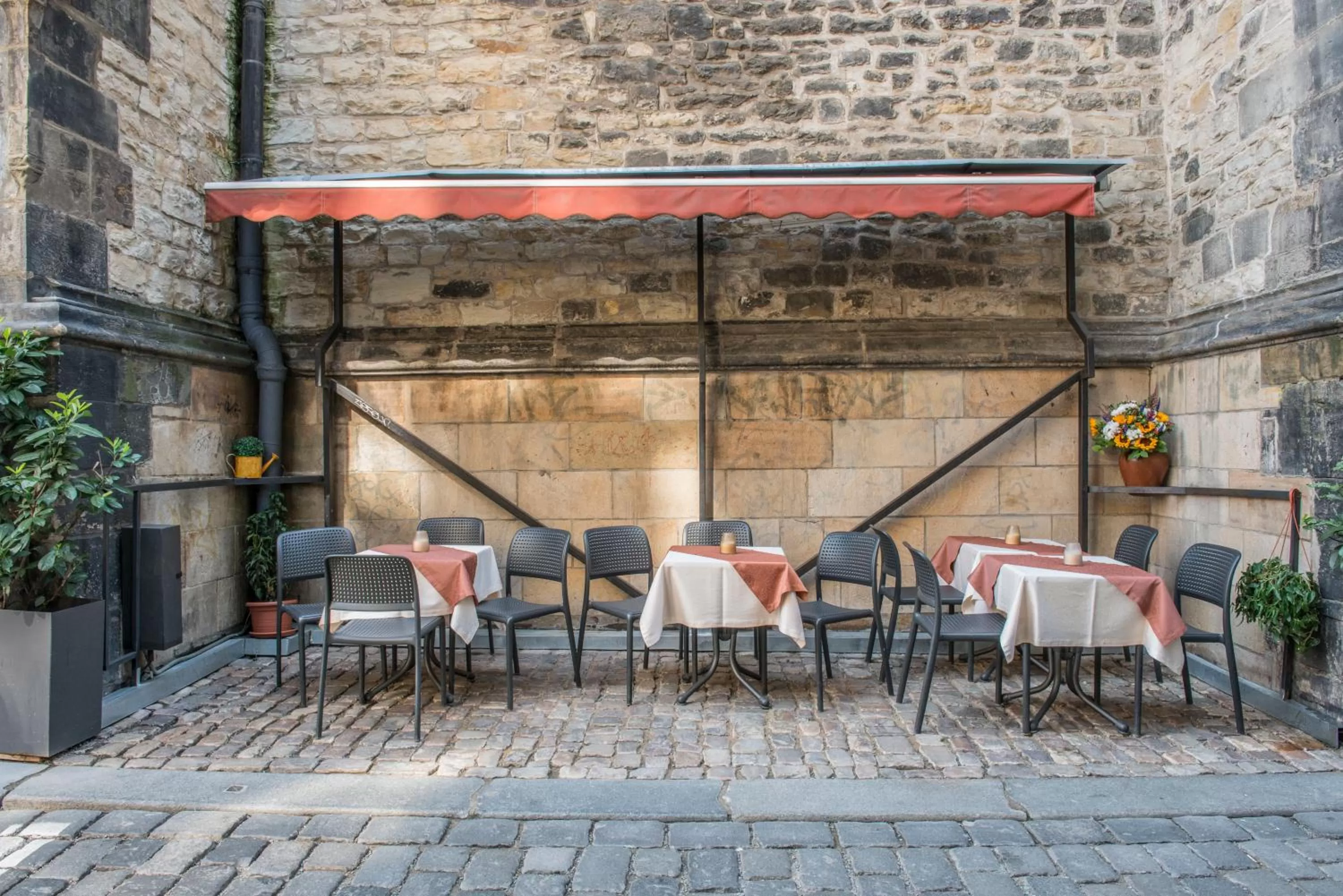 Garden in Hotel Cerny Slon