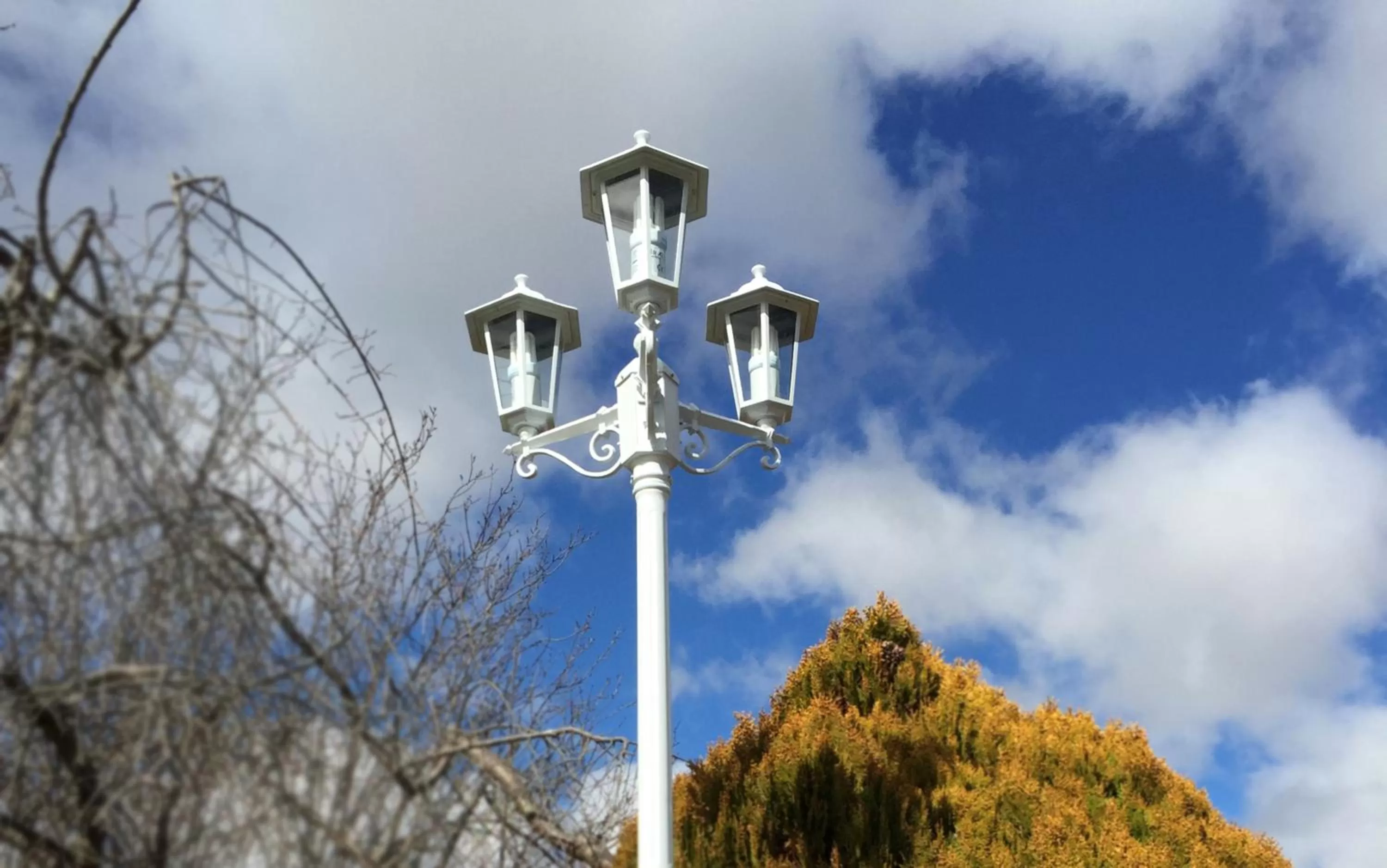 Decorative detail in White Lanterns Motel