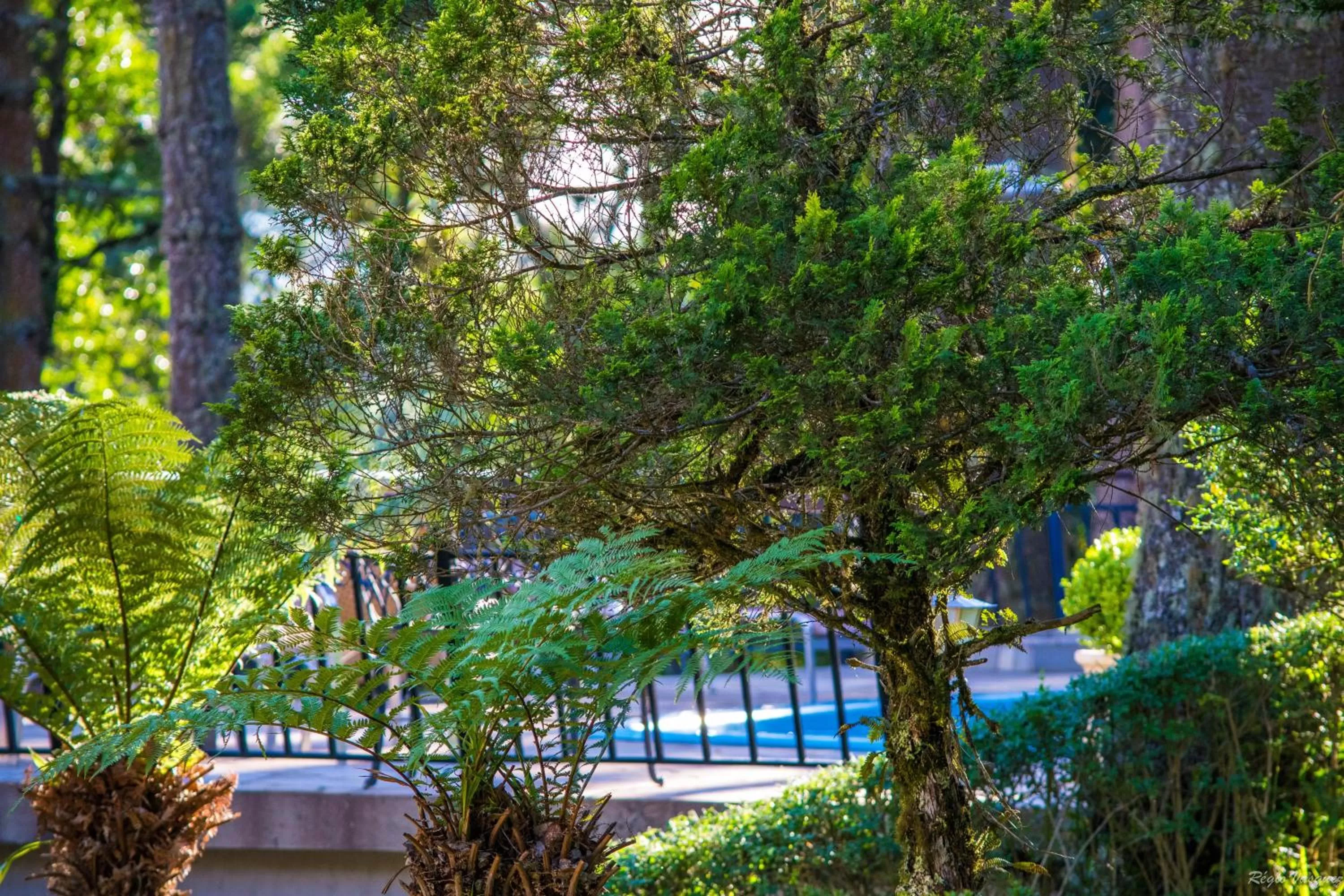 Day, Pool View in Pousada Ricanto Amore Mio