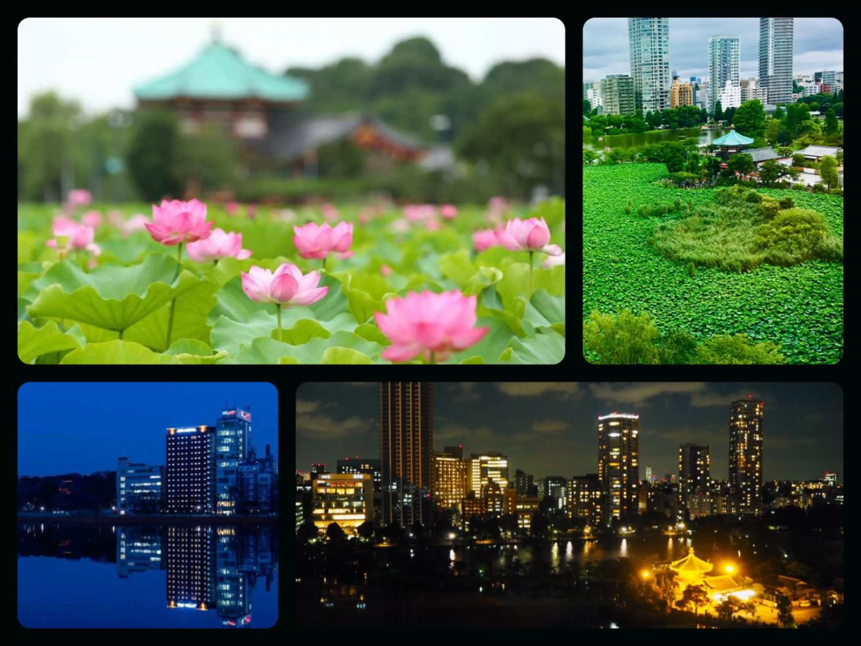 City view in APA Hotel Keisei Ueno Ekimae