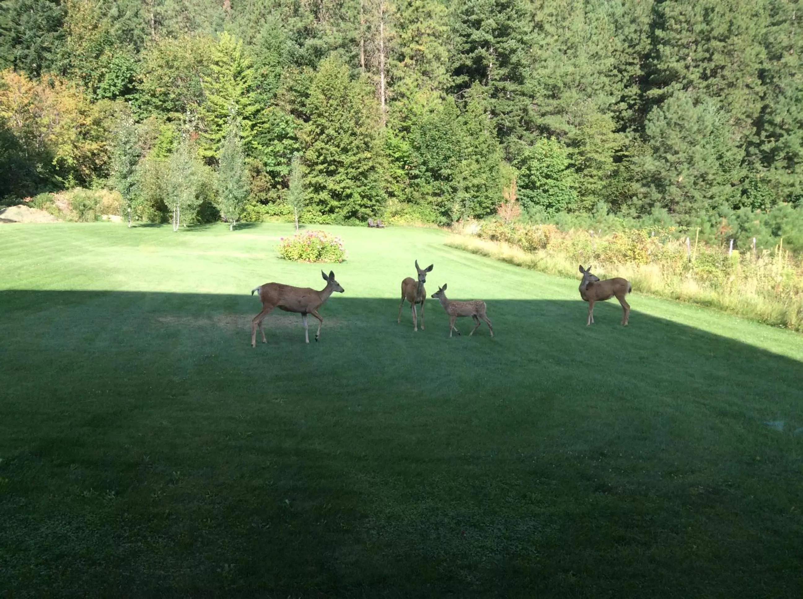 Day, Guests in Granite Hills Inn