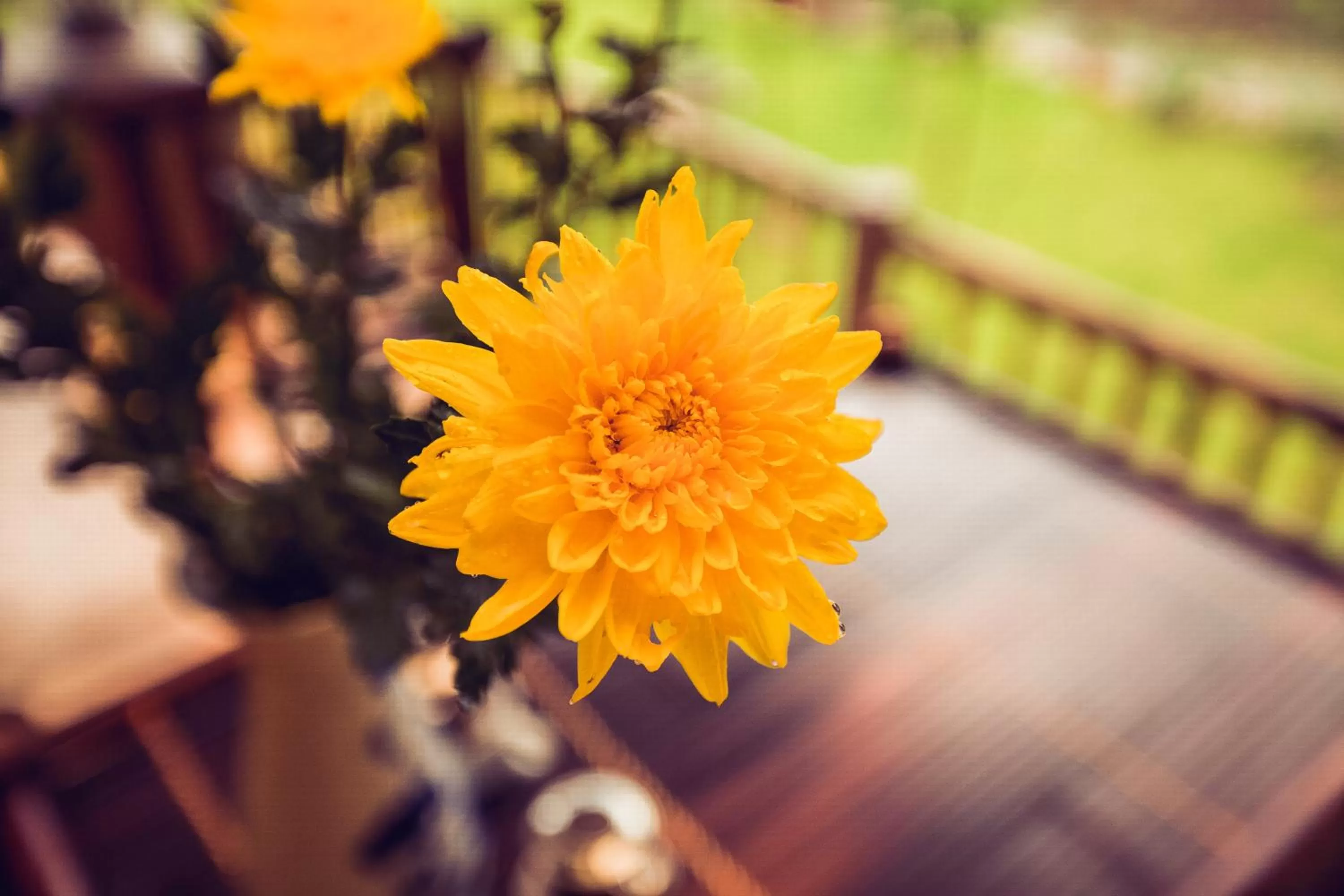 Other in Tam Coc Rice Fields Resort