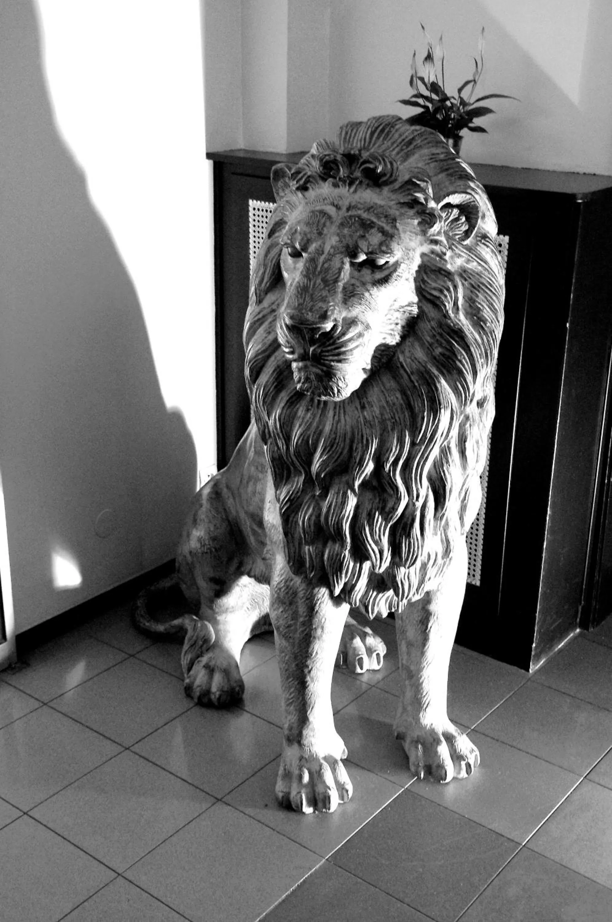 Decorative detail in Hotel Esplanade