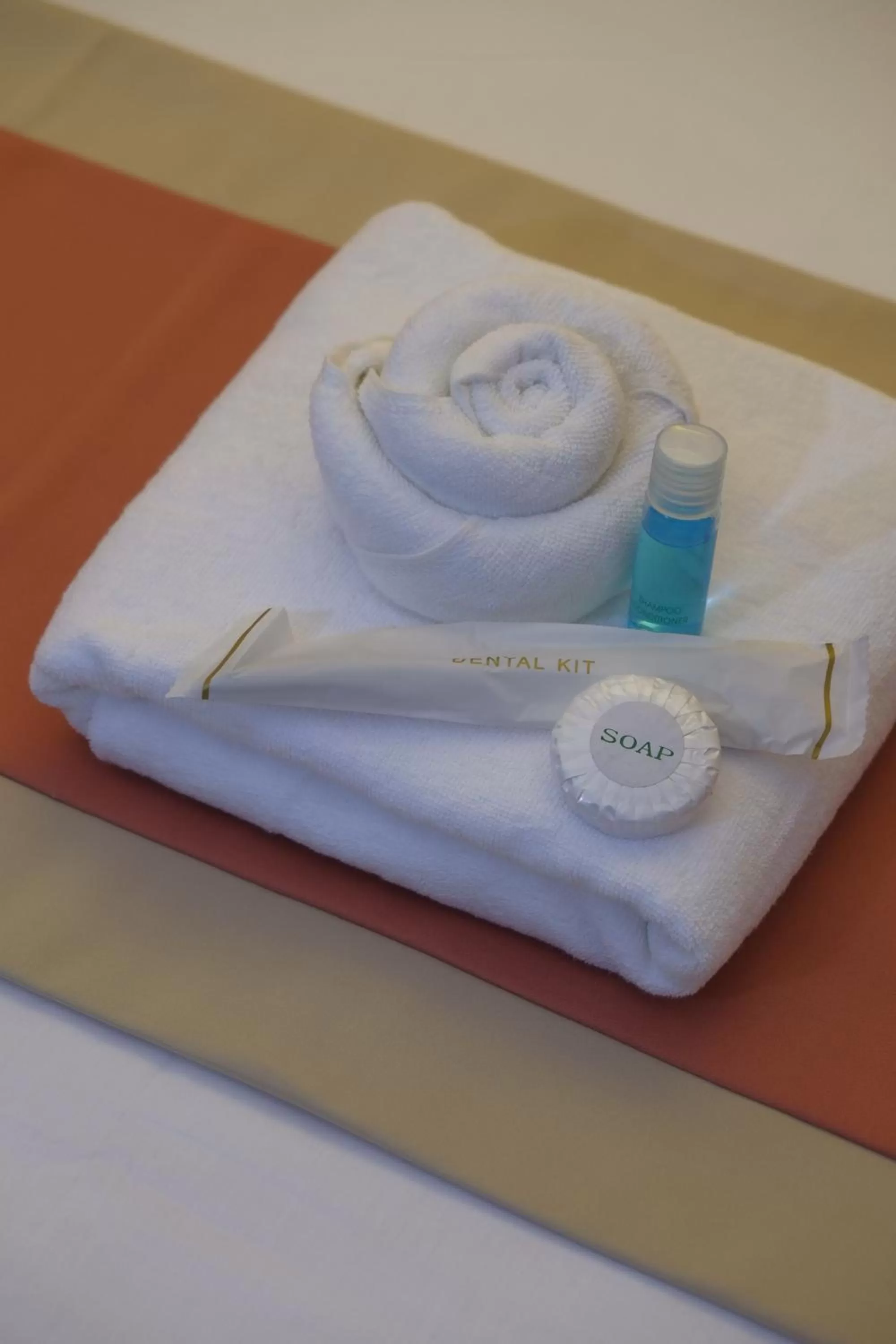 Area and facilities in Southpole Central Hotel