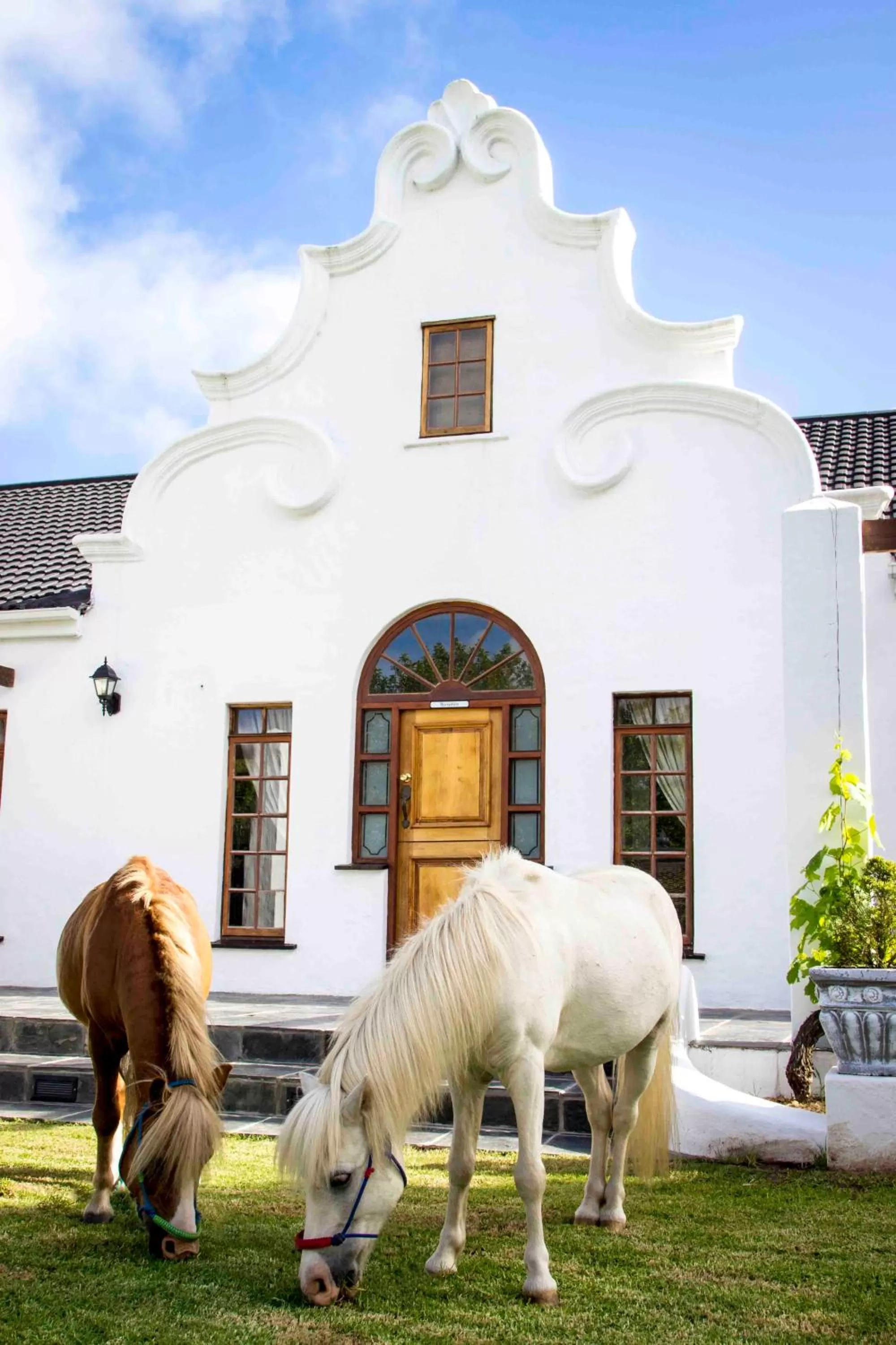 Garden in Victoria Heights B&B
