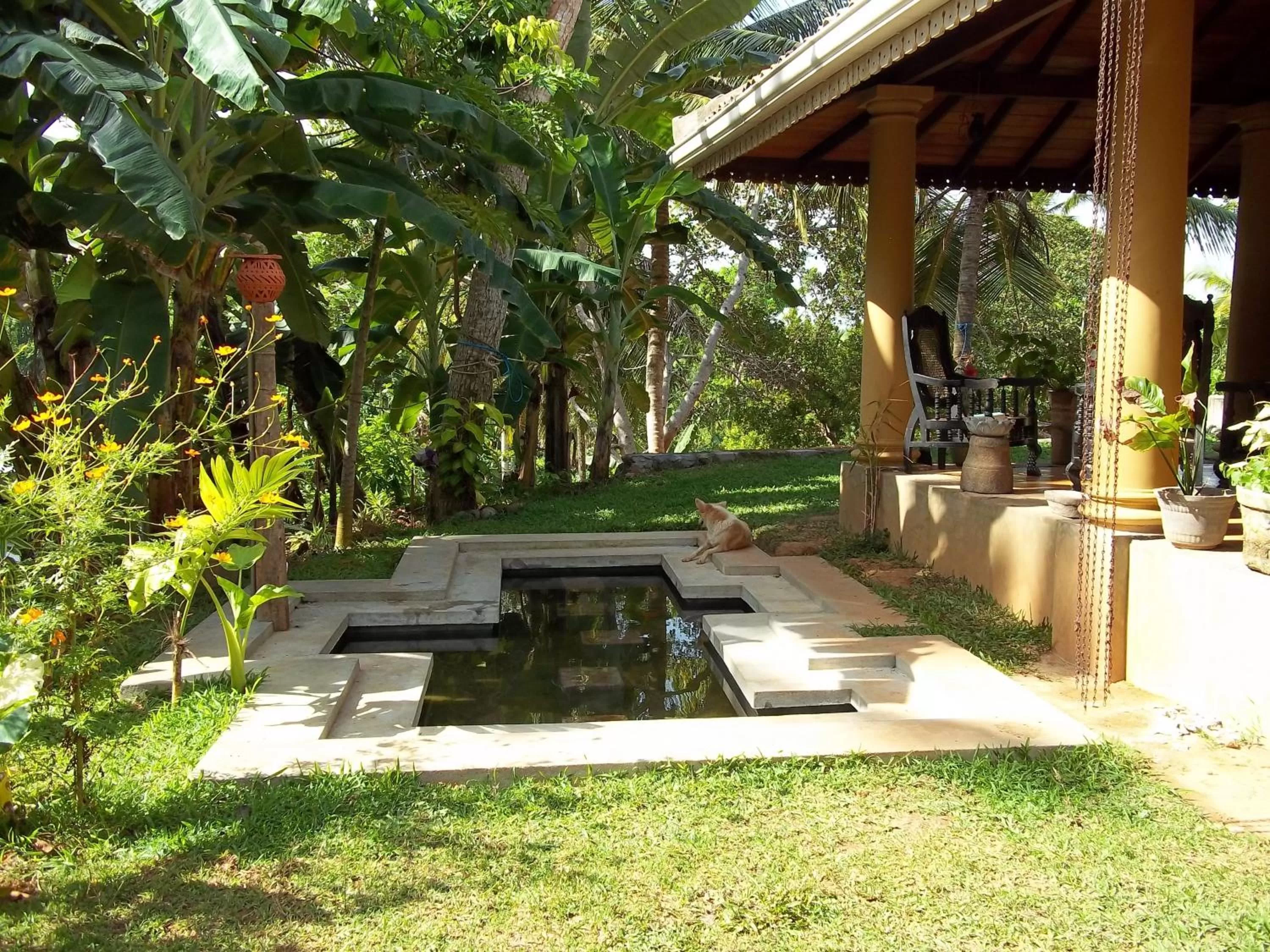 Garden in The Spice House Mirissa