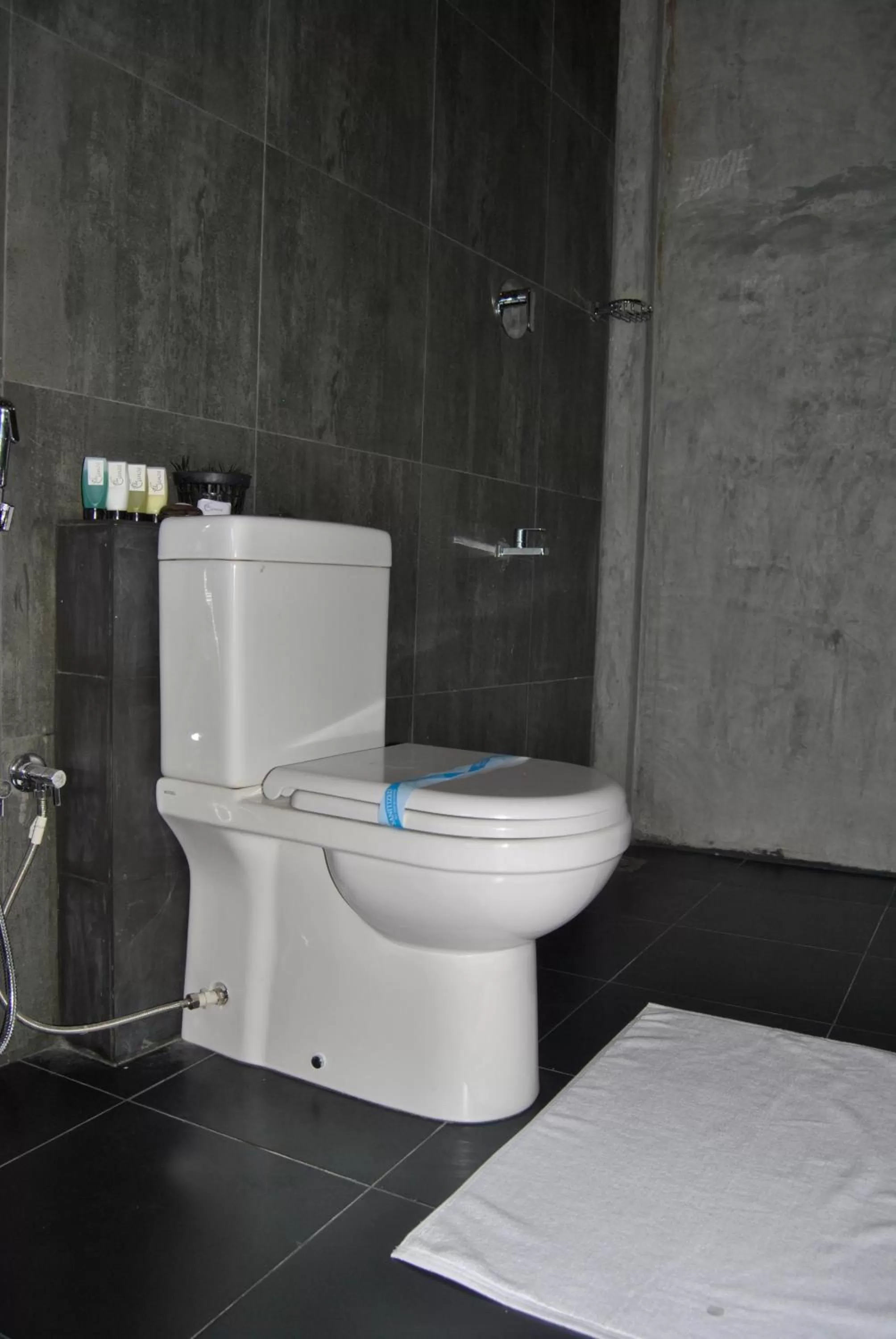 Bathroom in The Canoe